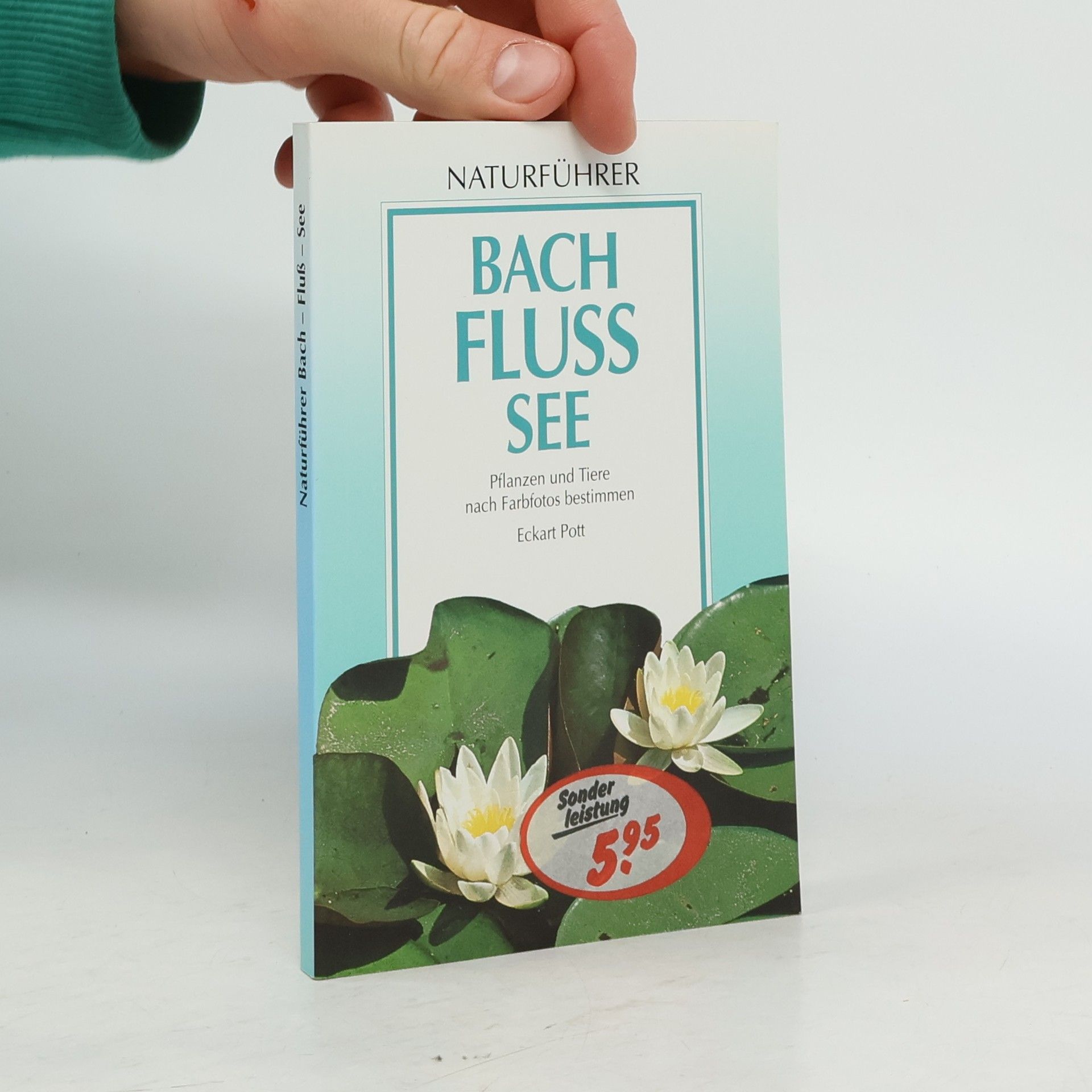 Eckart Pott Bach - Fluss - See