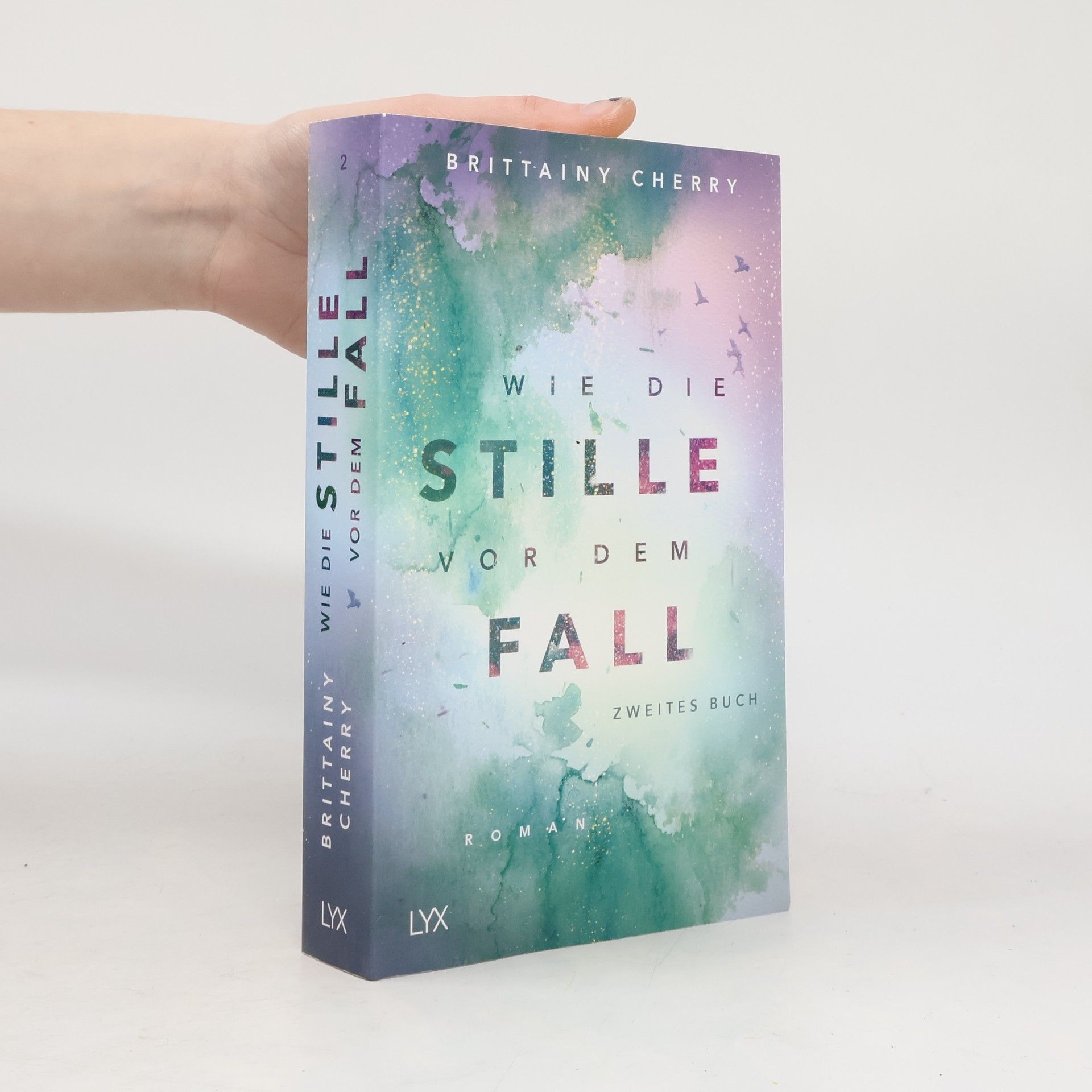 Brittainy C. Cherry Wie die Stille vor dem Fall 2