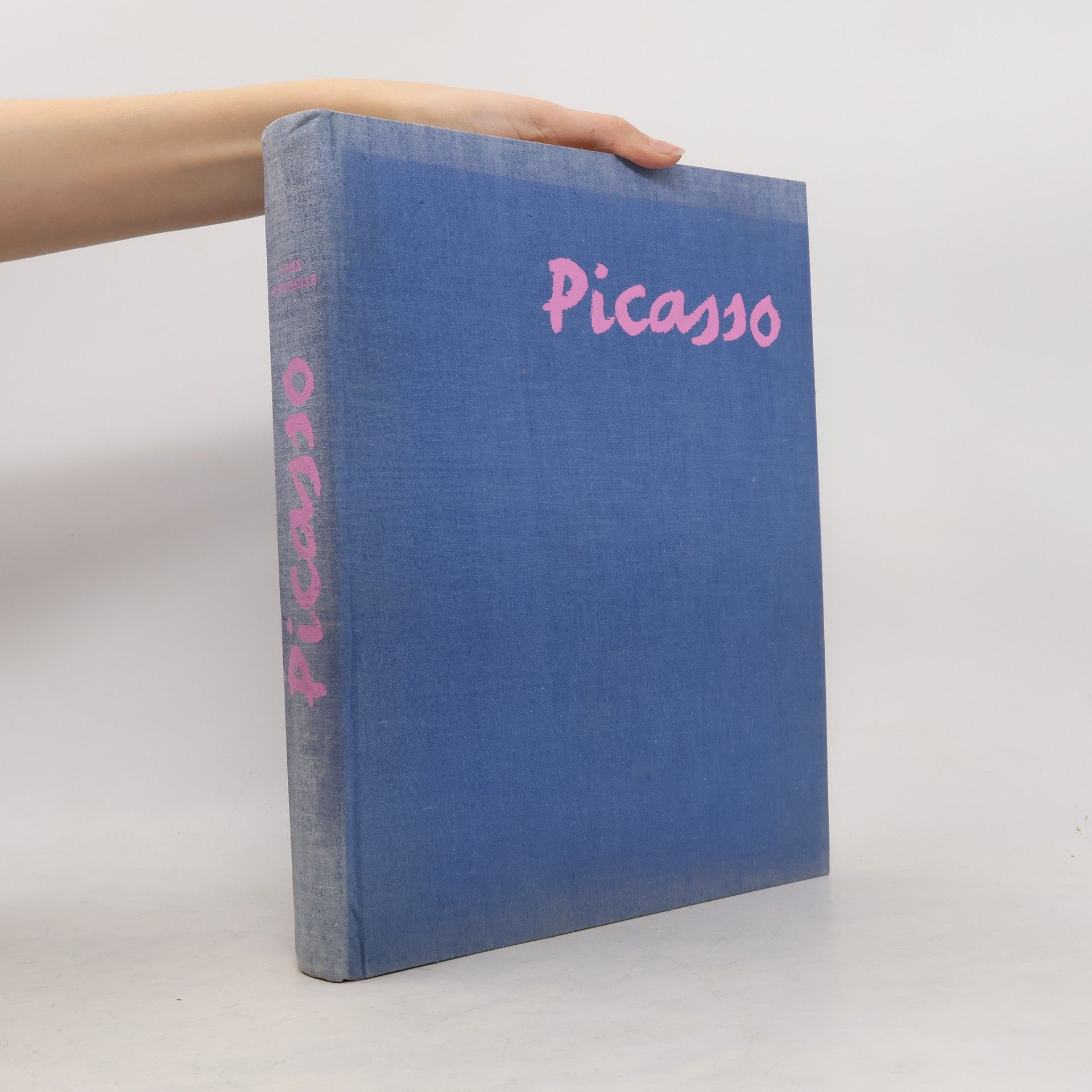 Autorenkollektiv Picasso