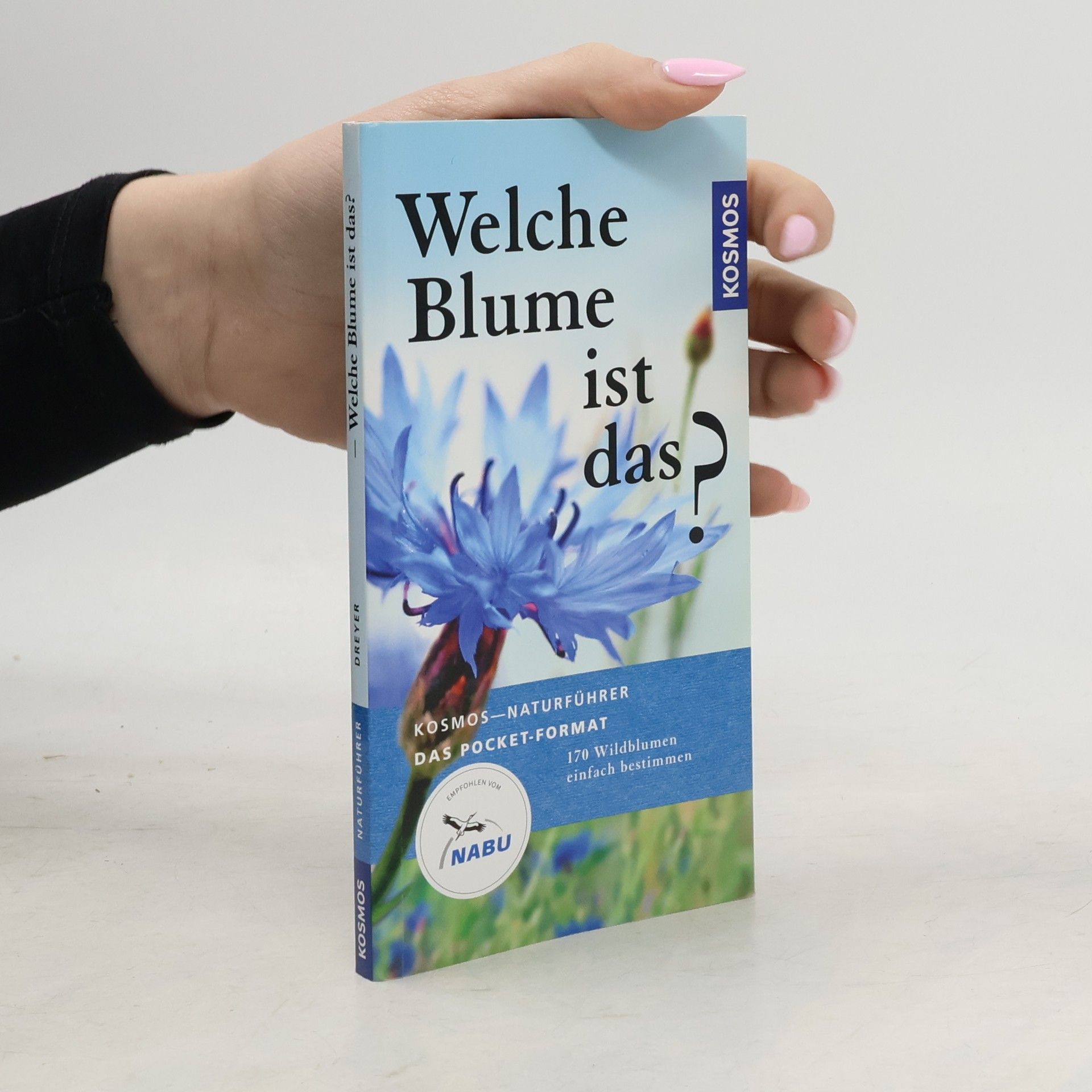 Welche Blume ist das?