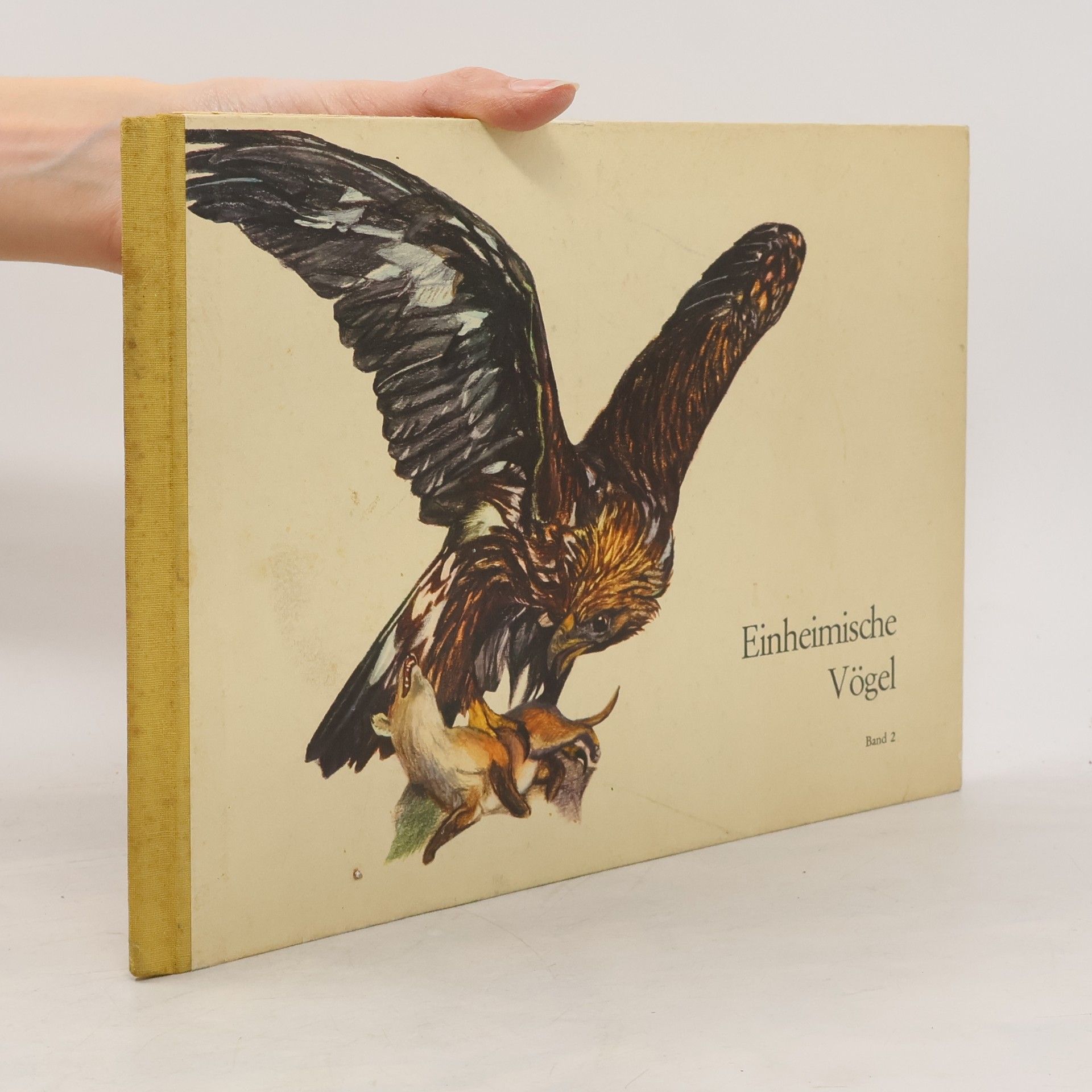 Ruth Hagner Einheimische Vögel 2