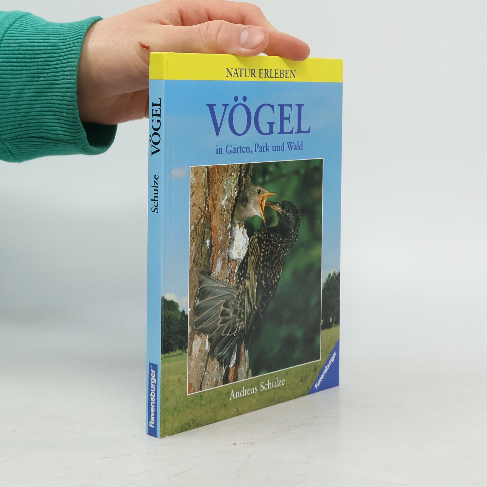 Andreas Schulze Vögel in Garten, Park und Wald