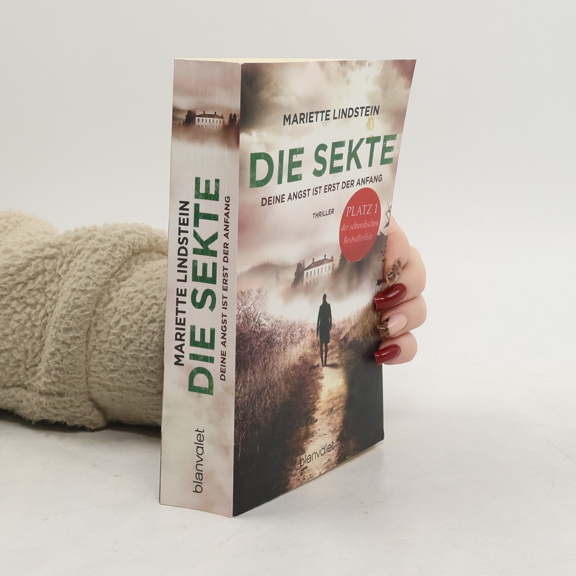 Mariette Lindstein Die Sekte. Deine Angst ist erst der Anfang