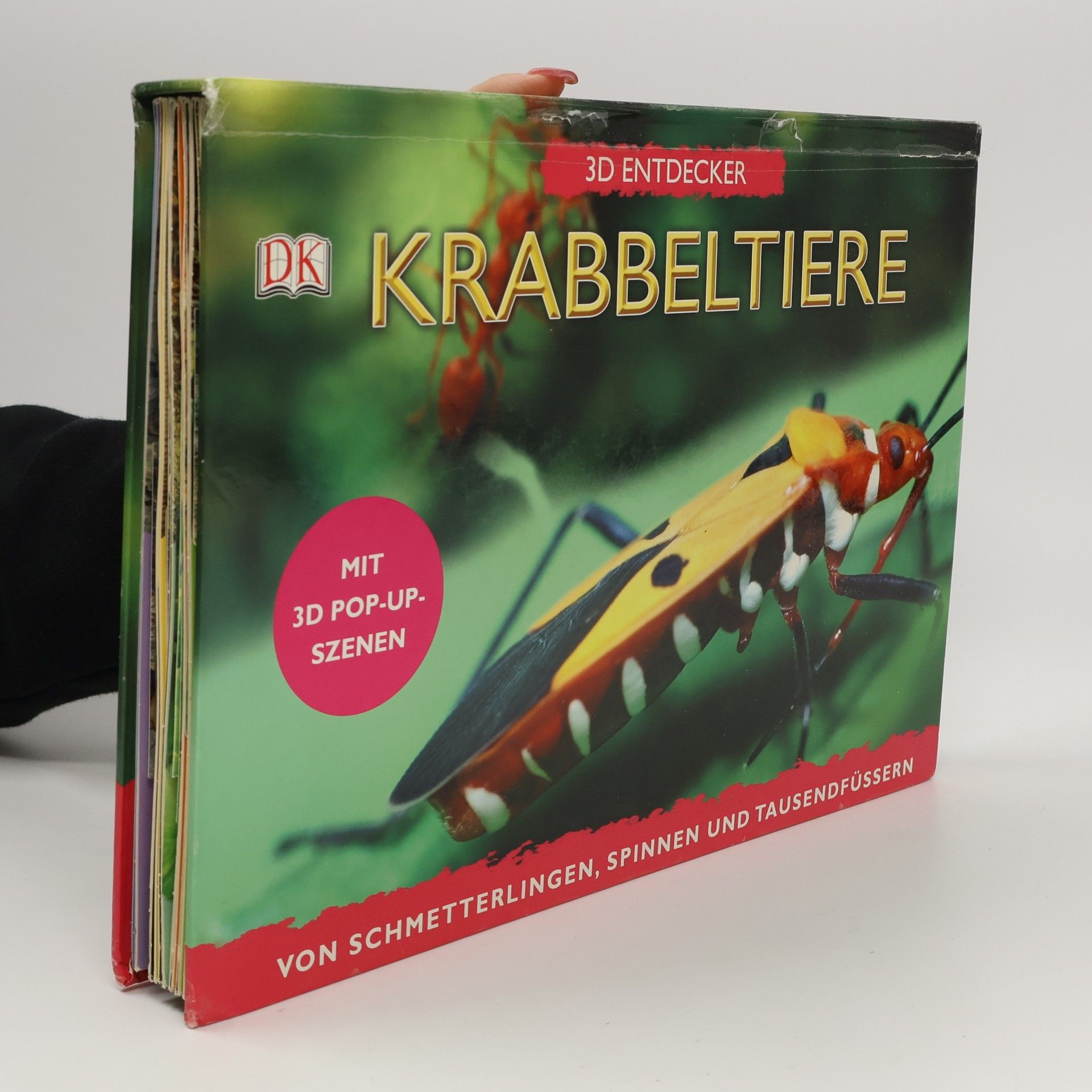 Jen Green 3D Entdecker: Krabbeltiere
