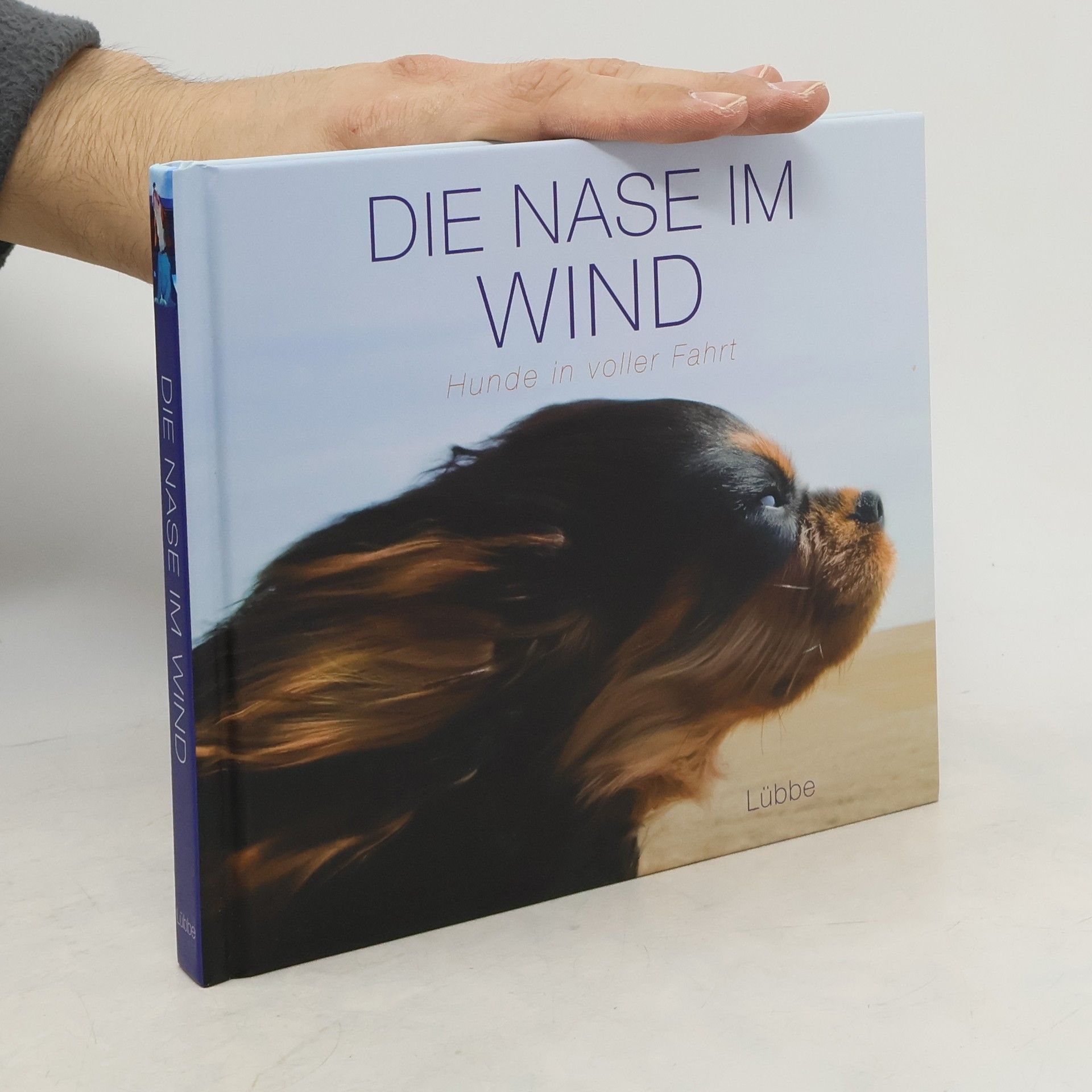 Die Nase im Wind