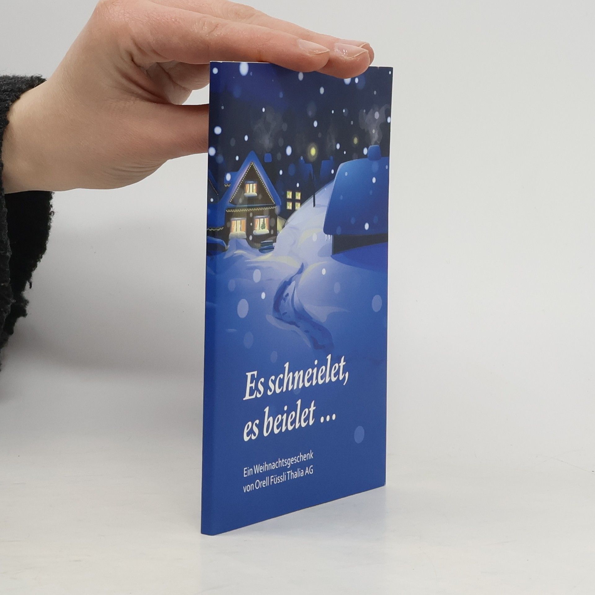 Autorenkollektiv Es schneielet, es beleilet...