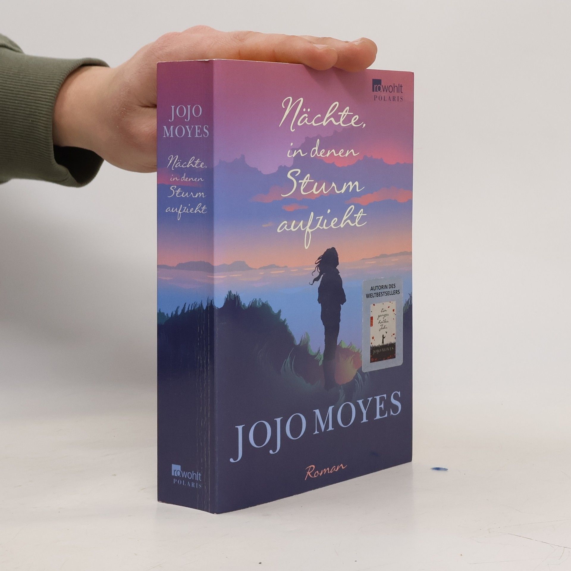 Jojo Moyes Nächte in denen Sturm aufzieht