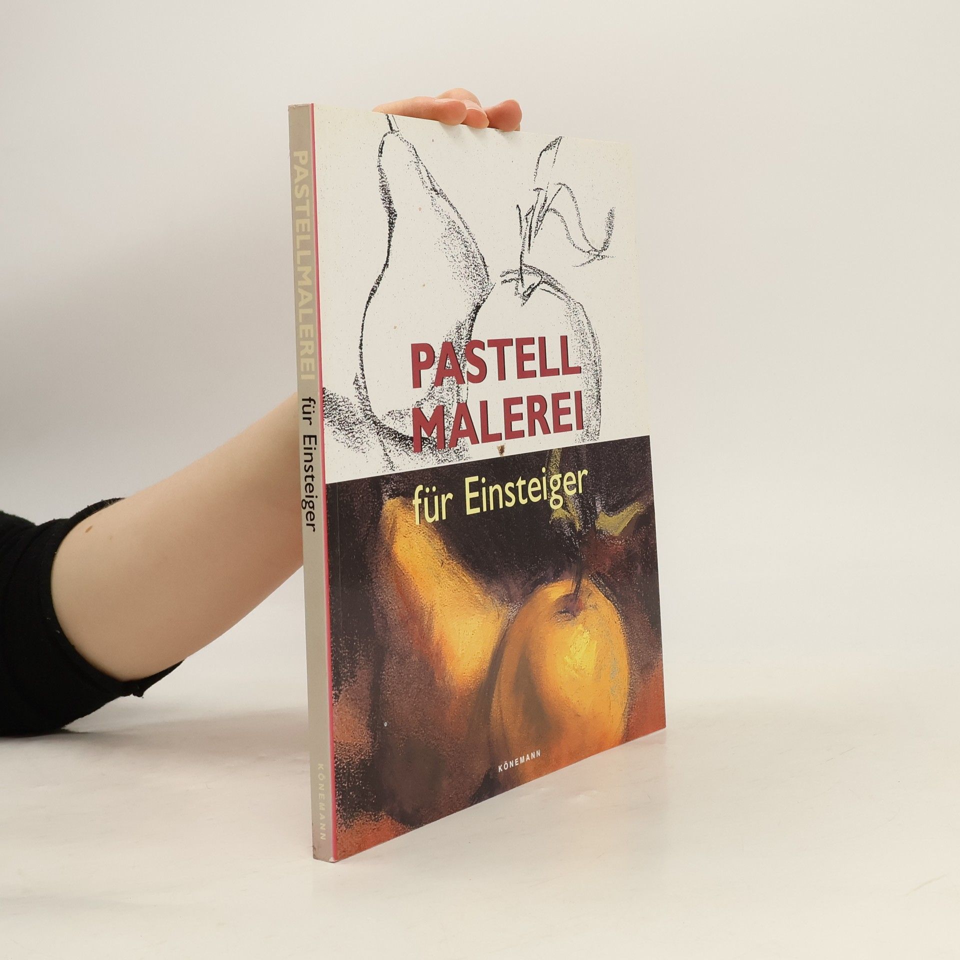 Auteurscollectief Pastellmalerei für Einsteiger