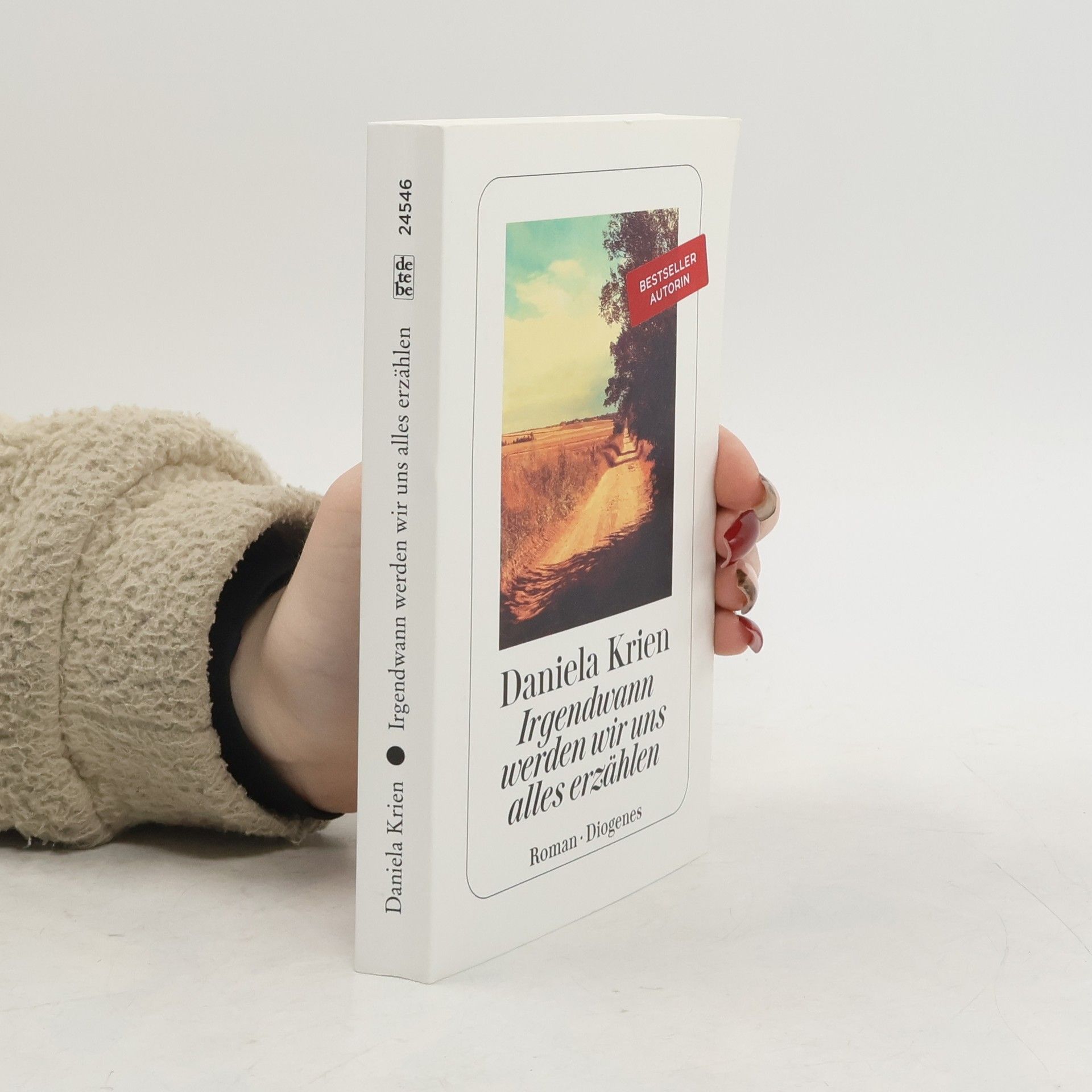 Daniela Krien Irgendwann werden wir uns alles erzählen