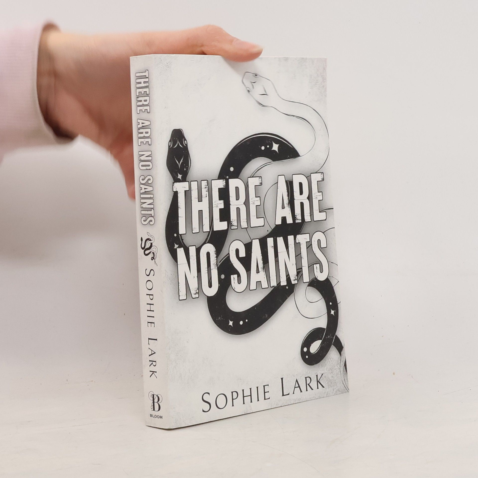 Sophie Lark There Are No Saints