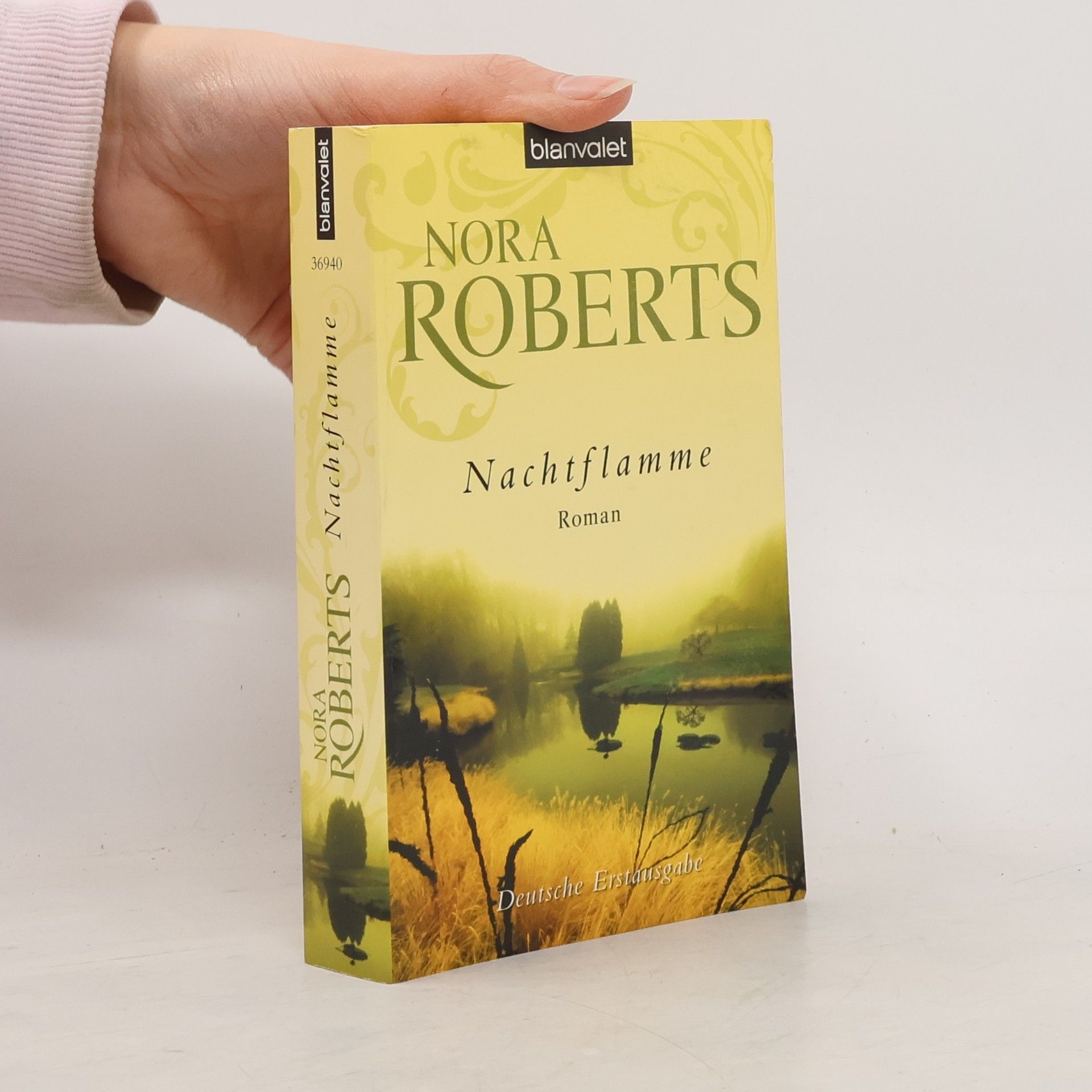 Nora Roberts Nachtflamme