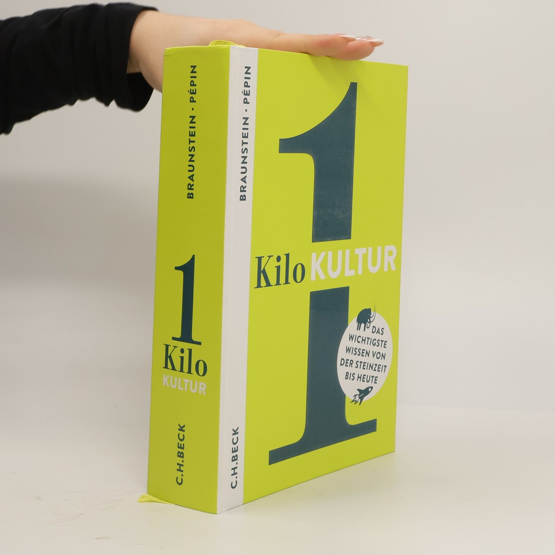 Autorenkollektiv 1 Kilo Kultur : das wichtigste Wissen von der Steinzeit bis heute