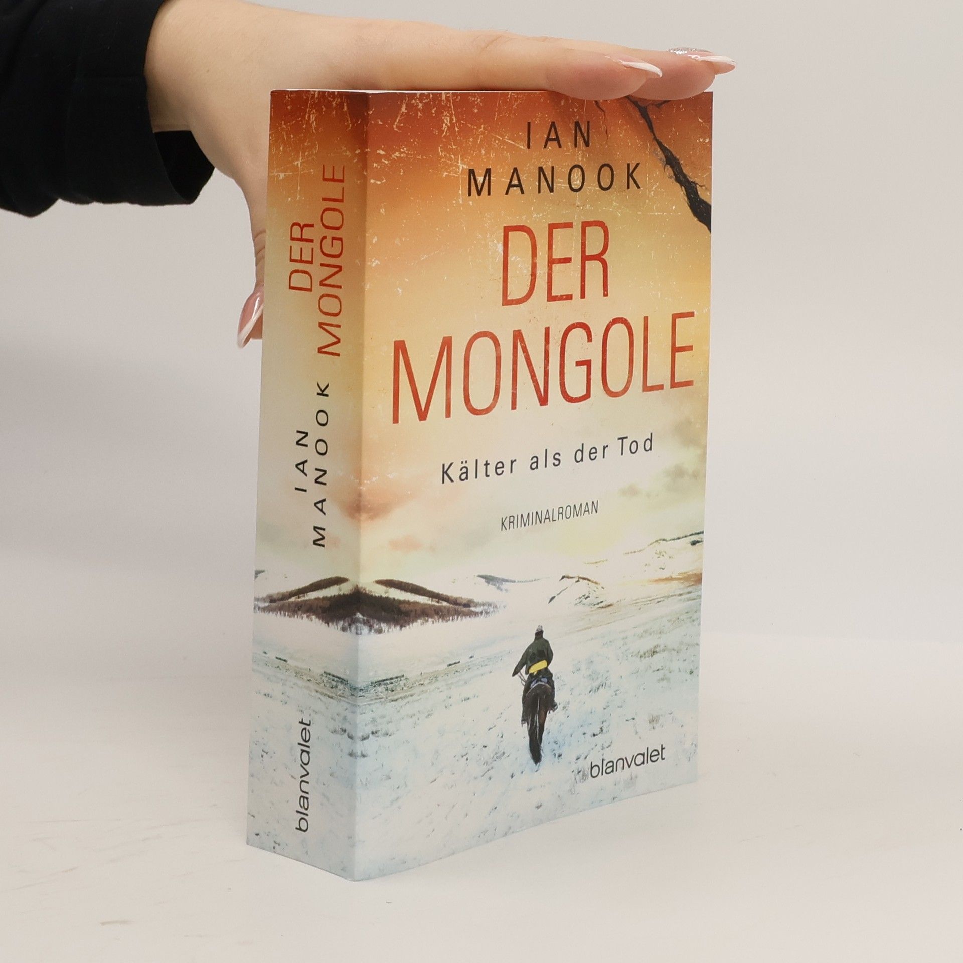 Ian Manook Der Mongole - Kälter als der Tod