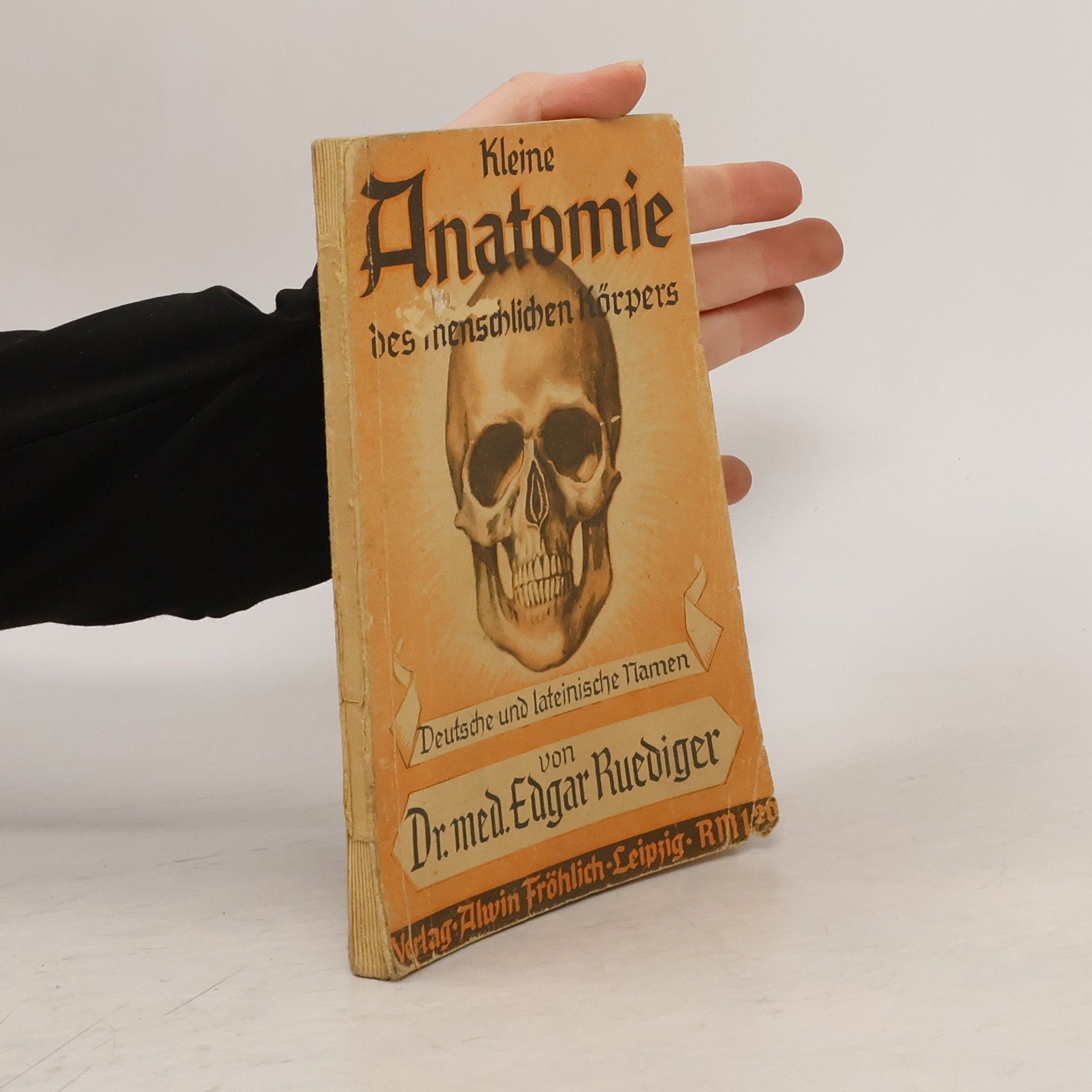 Edgar Ruediger Kleine Anatomie des menschlichen Körpers