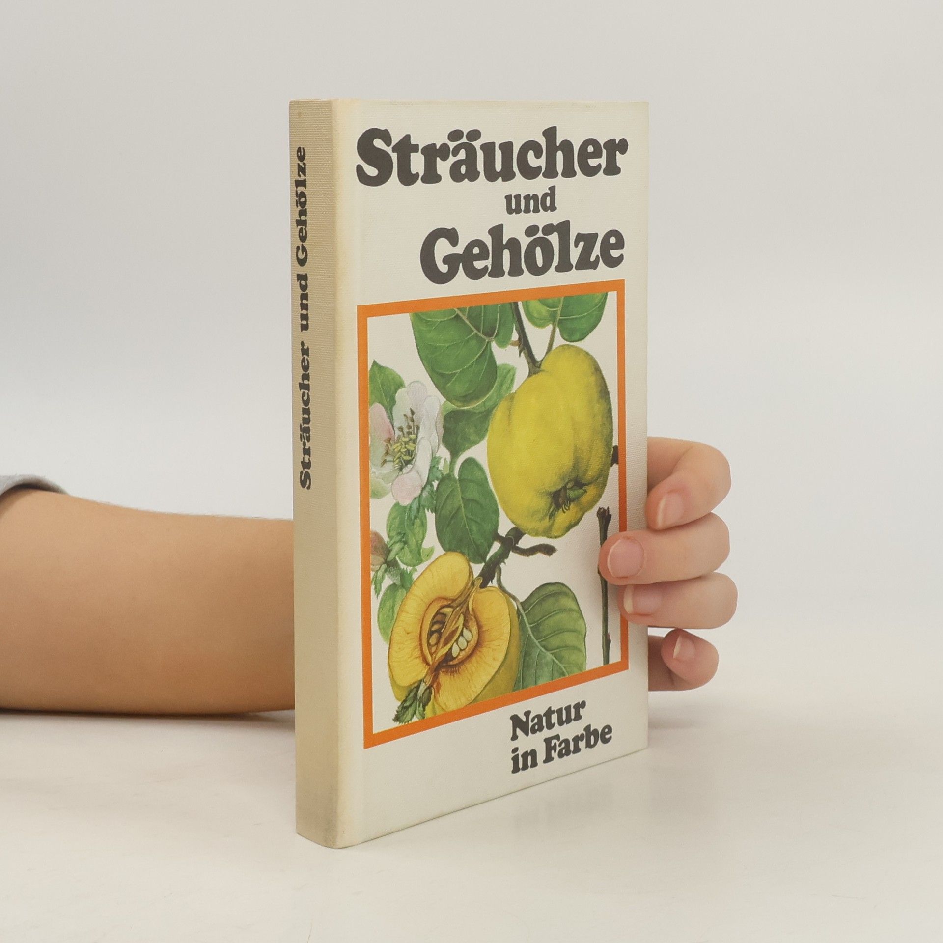 J. Pokorný Sträucher und Gehölze