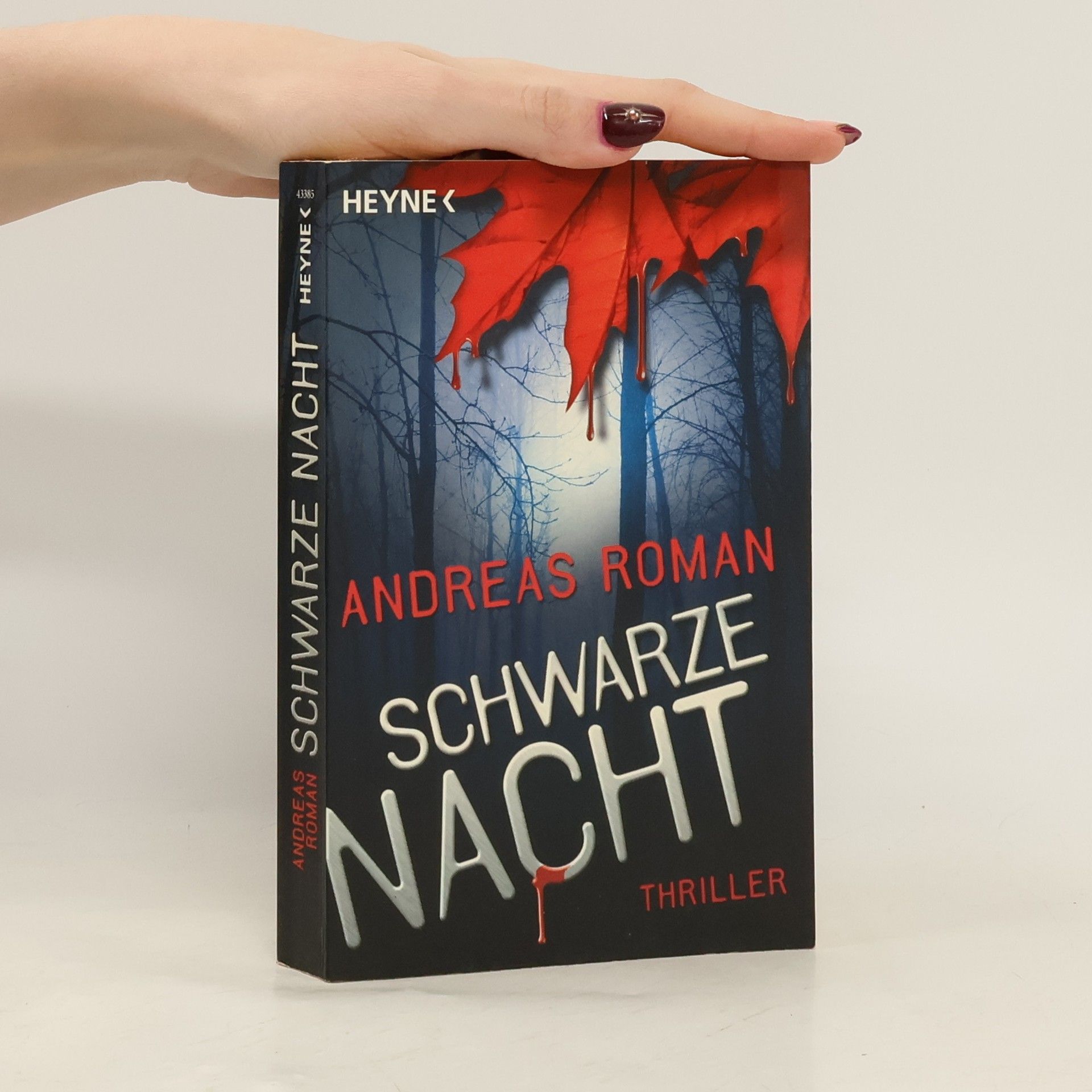 Andreas Roman Schwarze Nacht