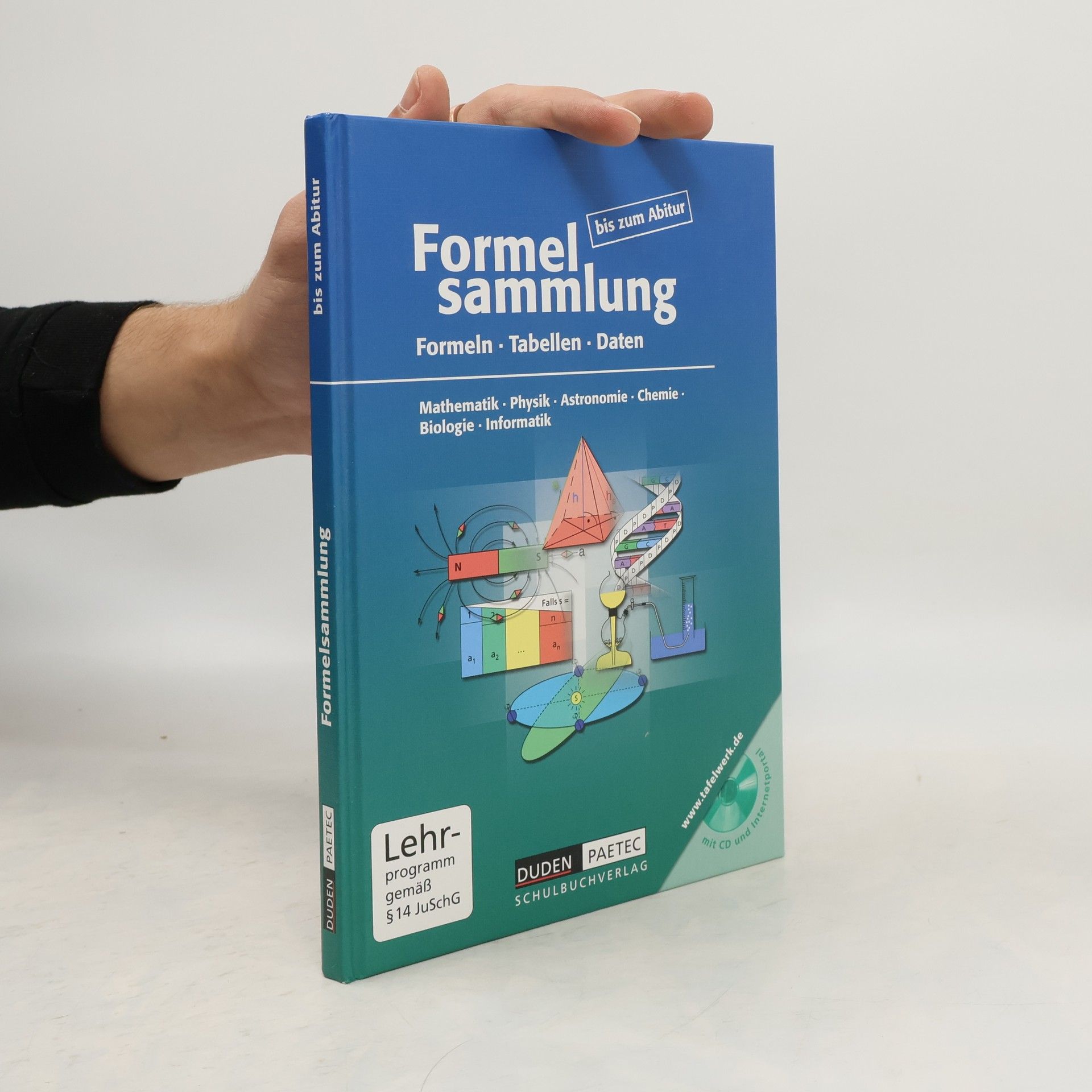 Kolektiv autorů Formelsammlung