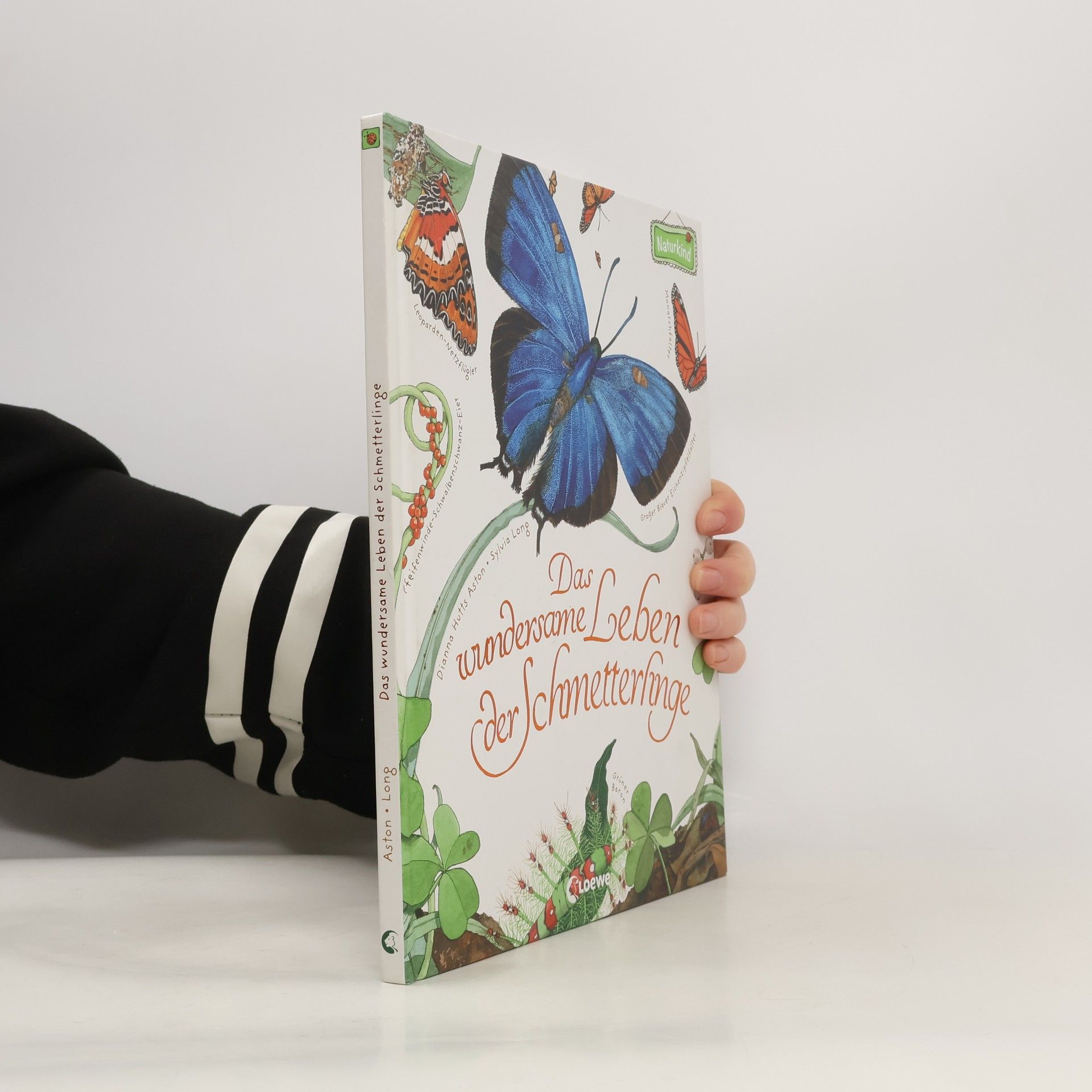 Dianna Aston Das wundersame Leben der Schmetterlinge