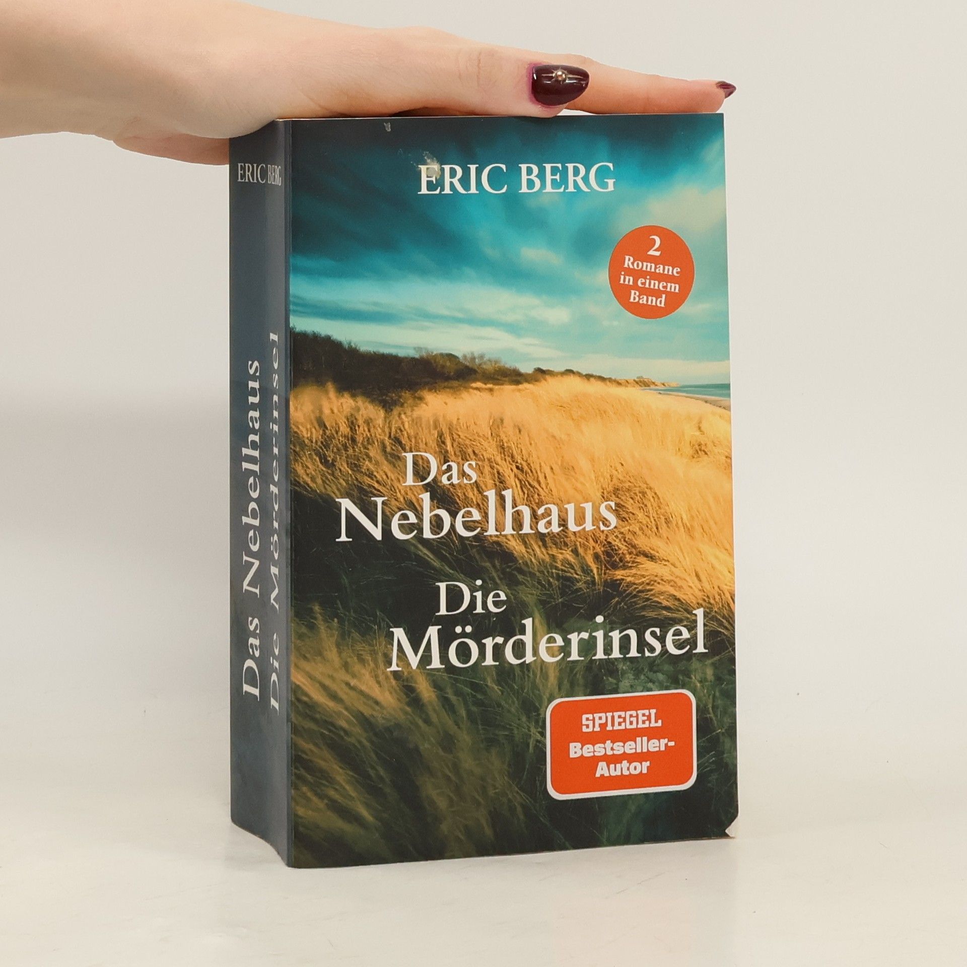 Eric Berg Das Nebelhaus. Die Mörderinsel