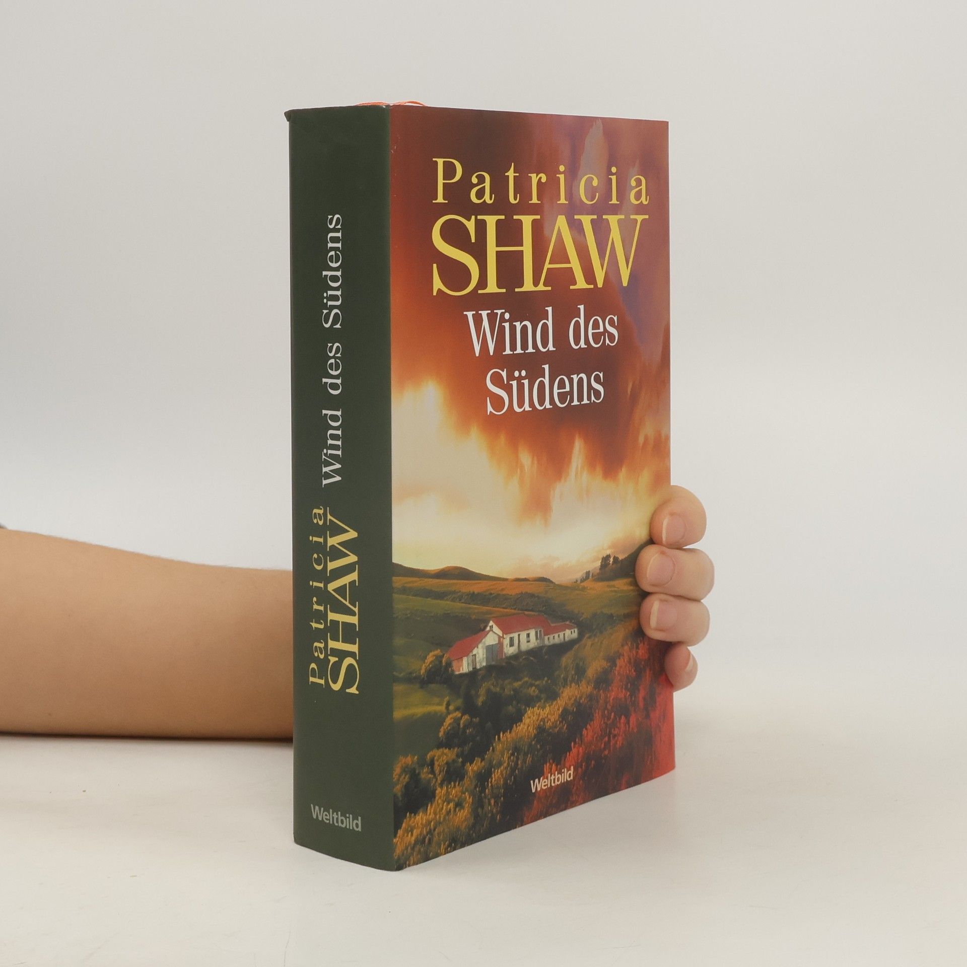 Patricia Shaw Wind des Südens