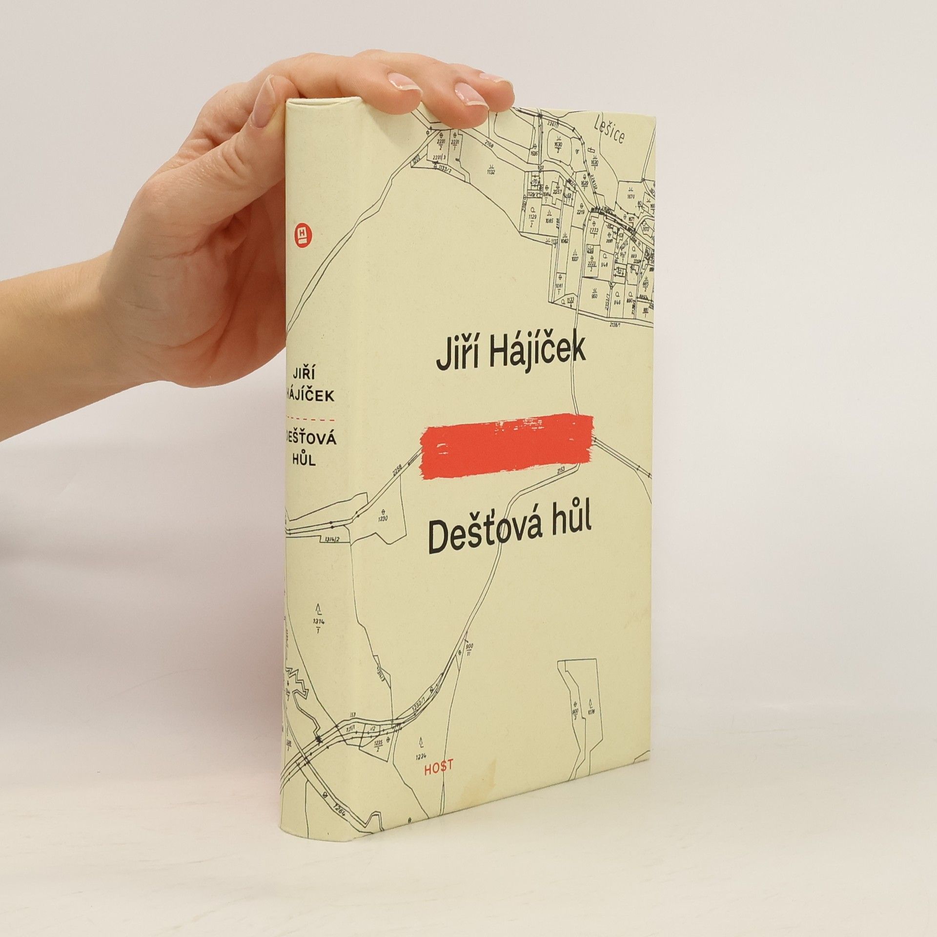 Jiří Hájíček Dešťová hůl