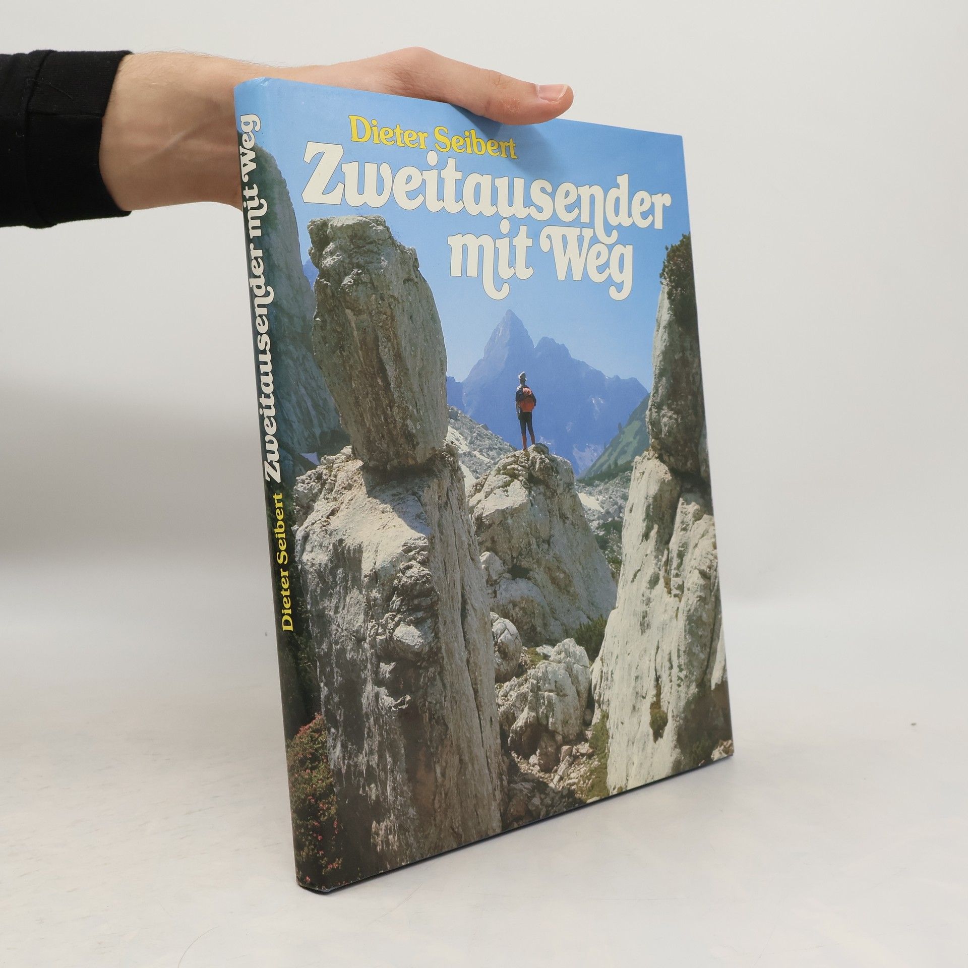 Dieter Seibert Zweitausender mit Weg