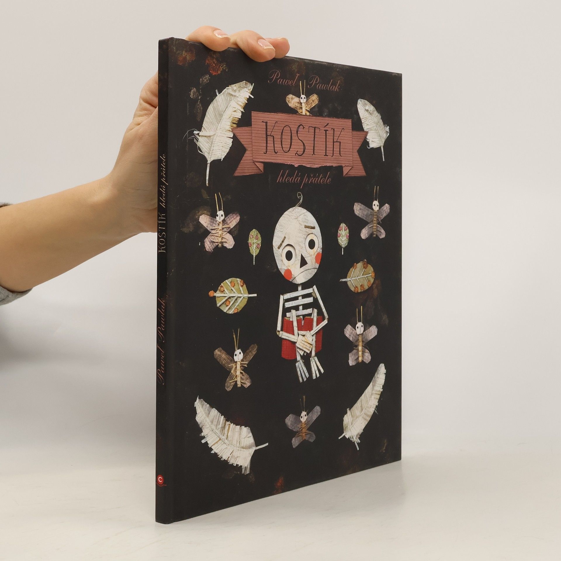 Pawel Pawlak Kostík hledá přátele