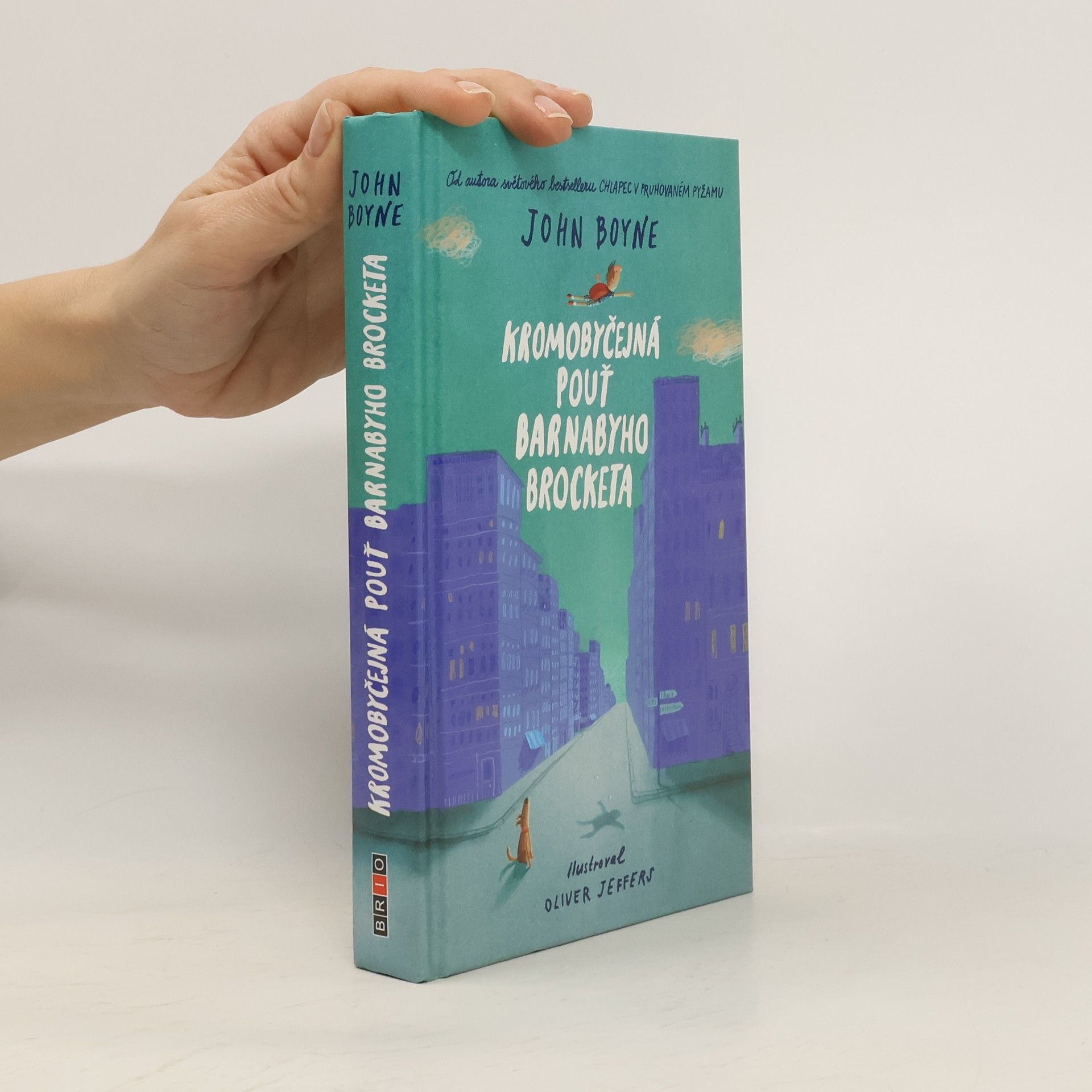 John Boyne Kromobyčejná pouť Barnabyho Brocketa