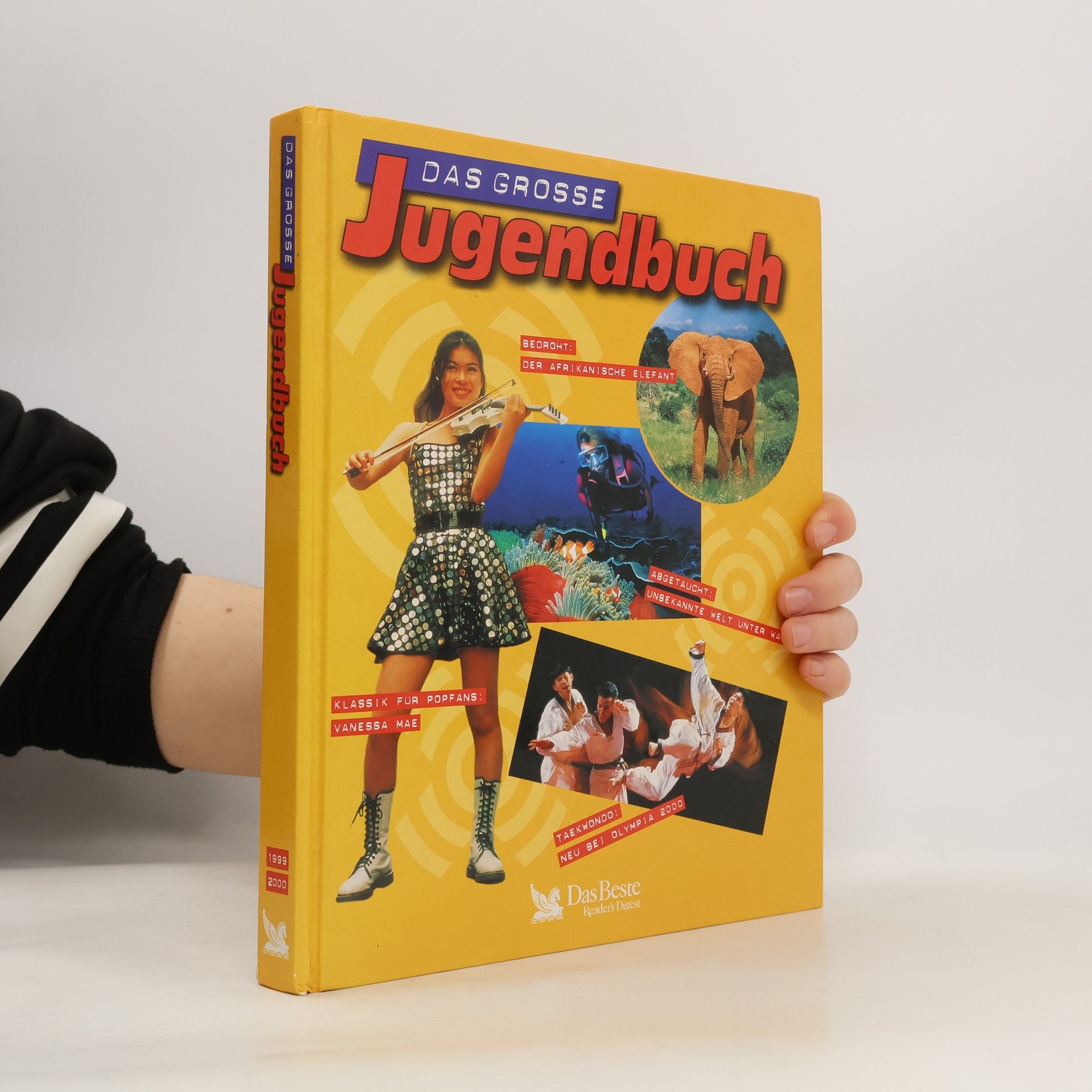 Collectif d'auteurs Das grosse Jugendbuch