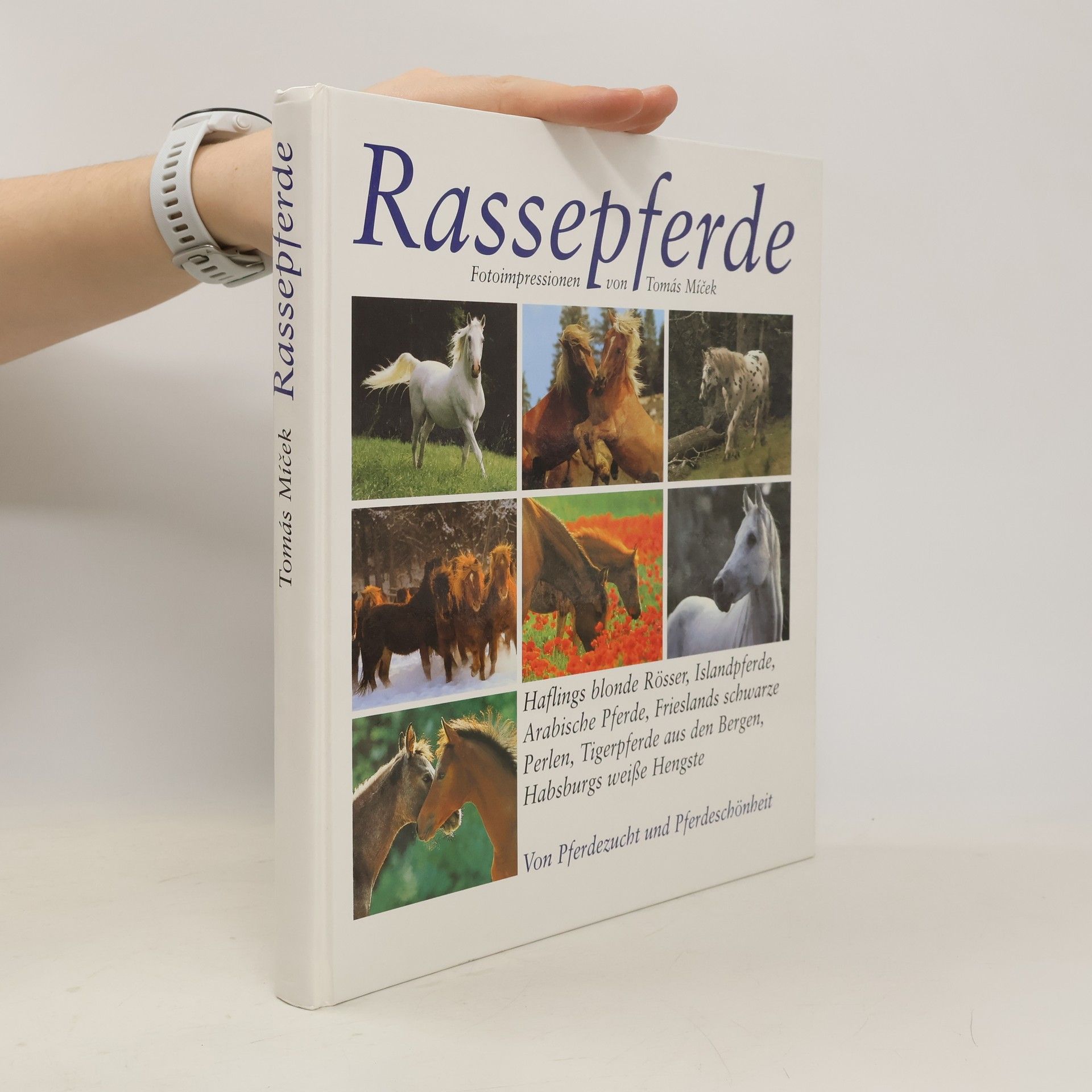 Tomáš Míček Rassepferde