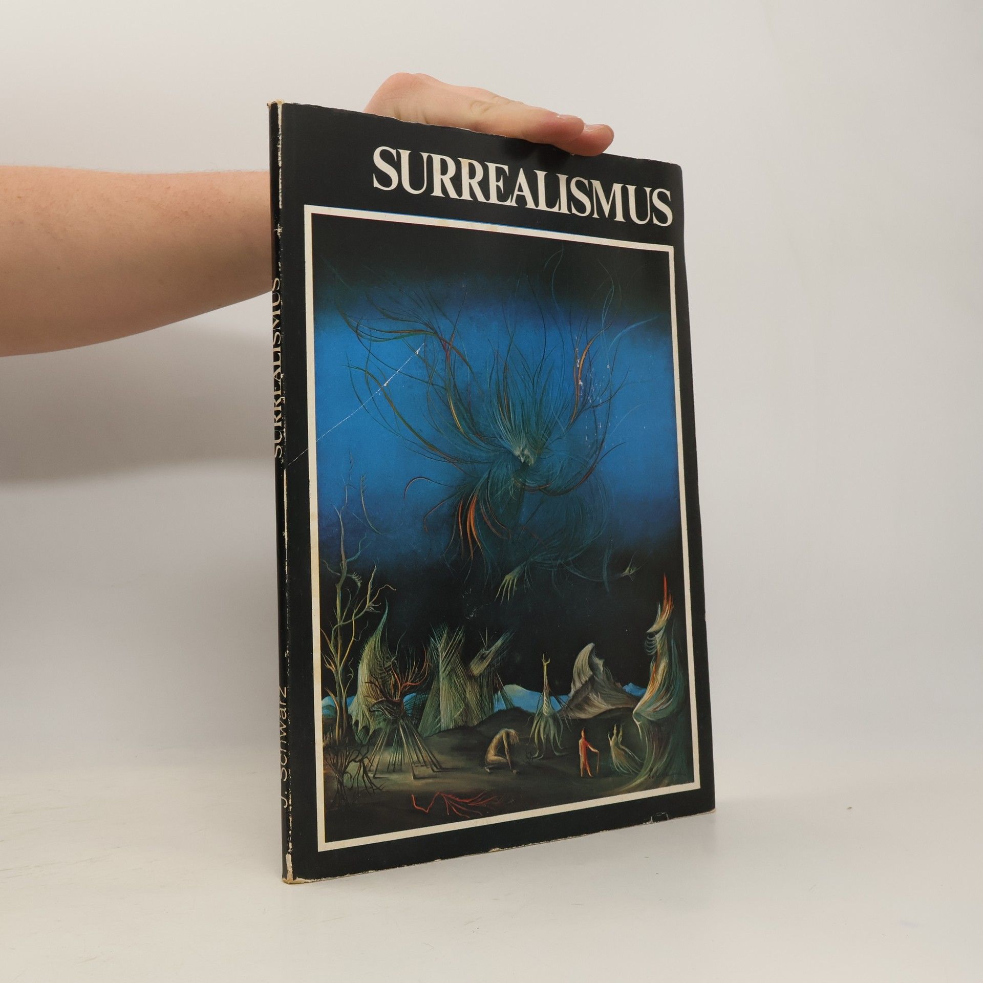 Autorenkollektiv Surrealismus