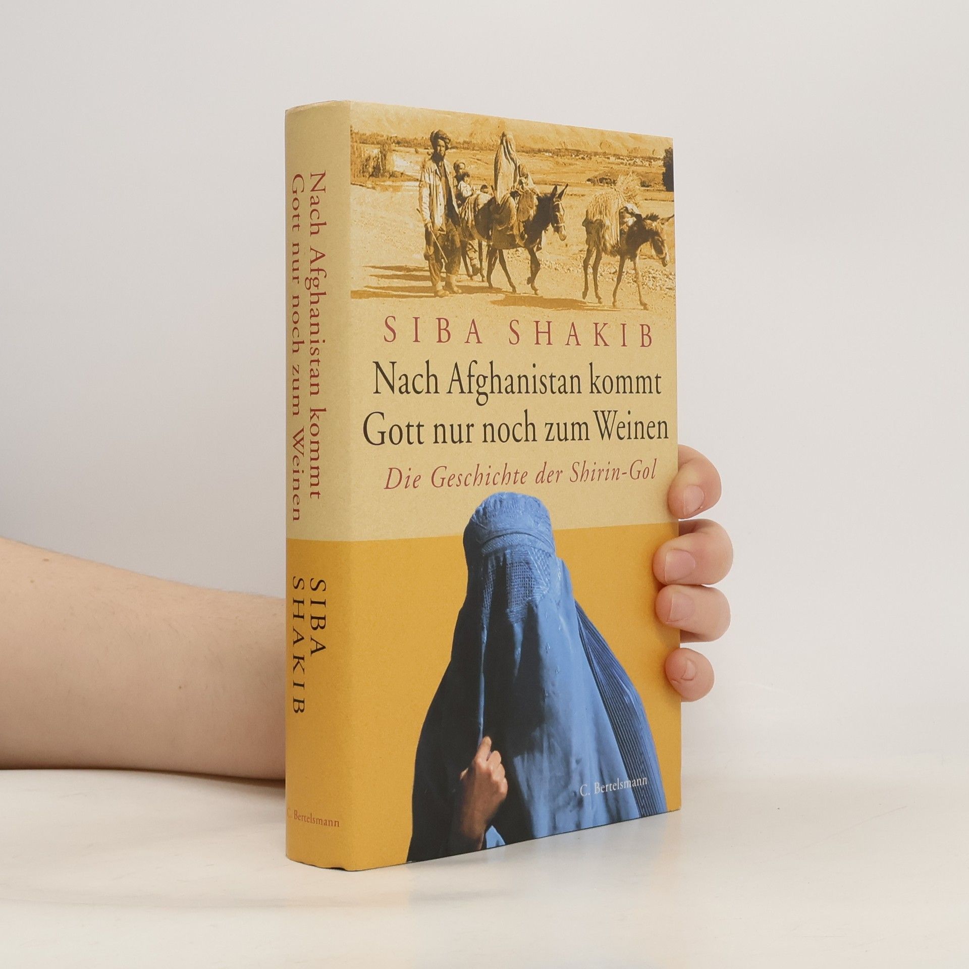 Síba Shakib Nach Afghanistan kommt Gott nur noch zum Weinen