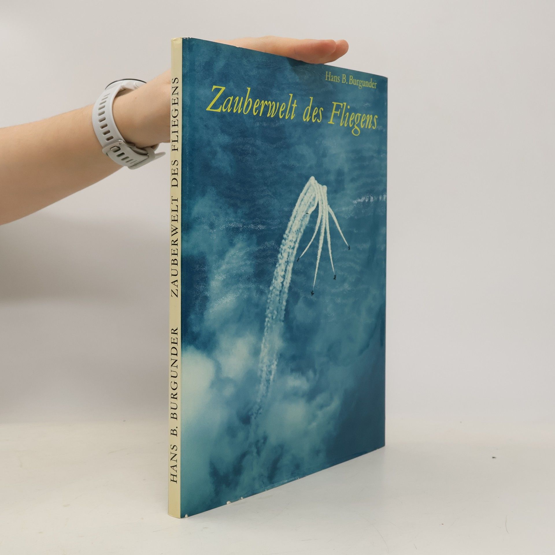 Hans Burgunder Zauberwelt des Fliegens