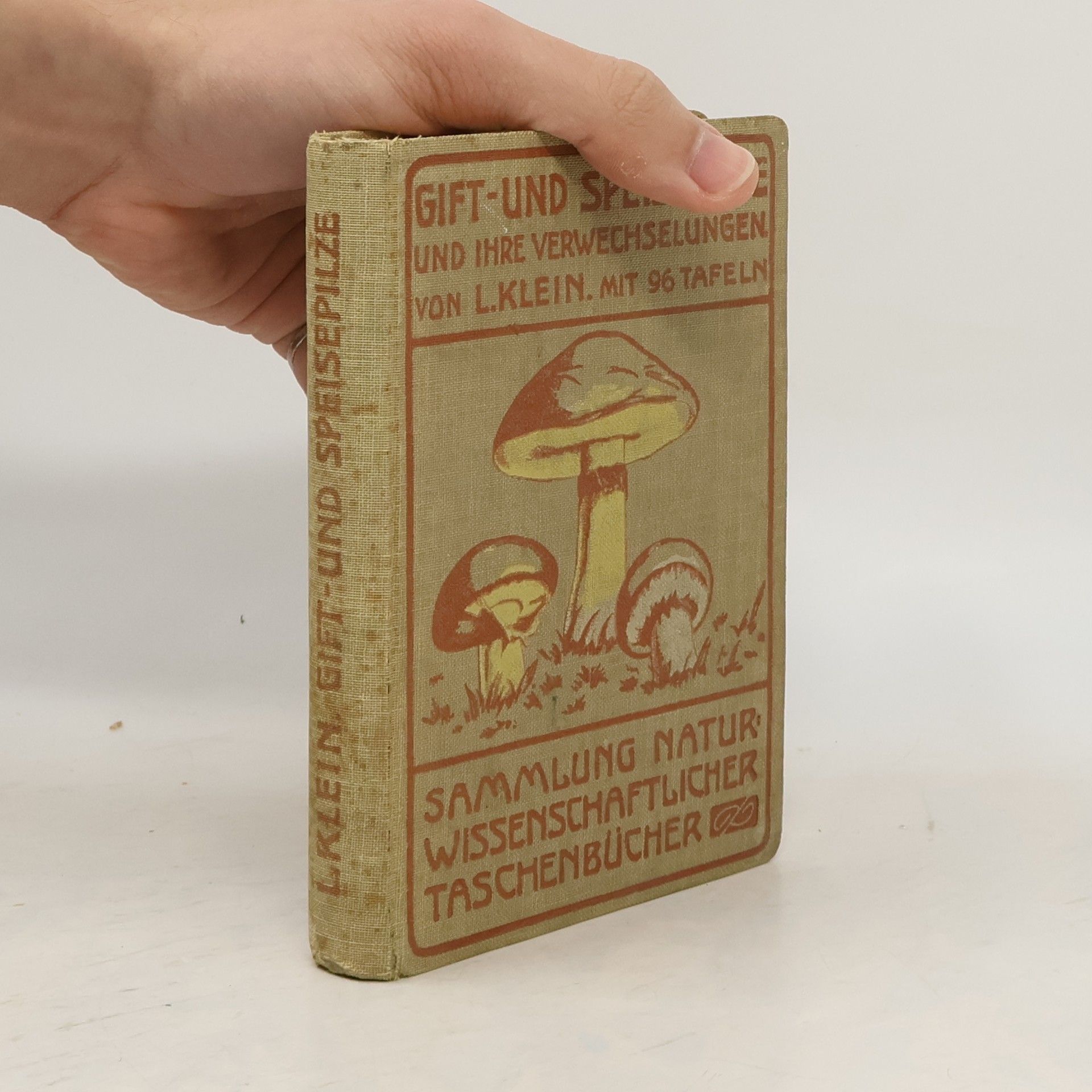 Ludwig Klein Gift- und Speisepilze und ihre Verwechselungen