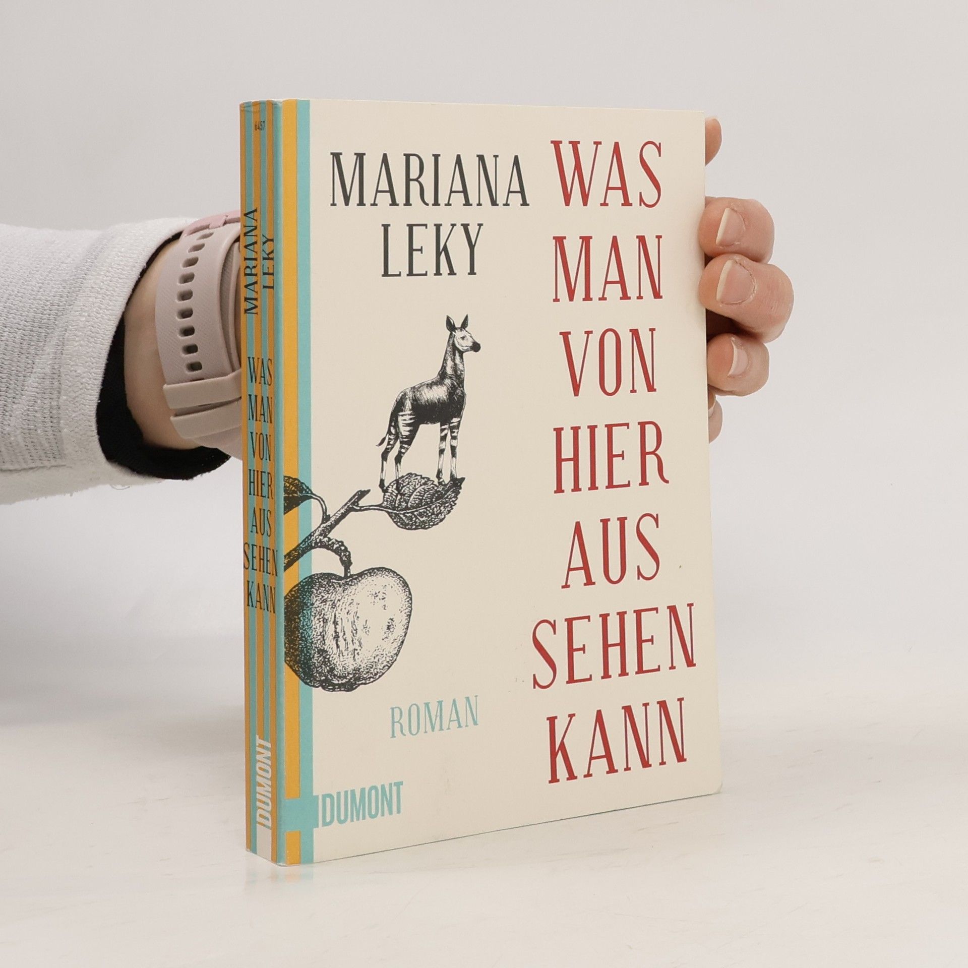 Mariana Leky Was man von hier aus sehen kann
