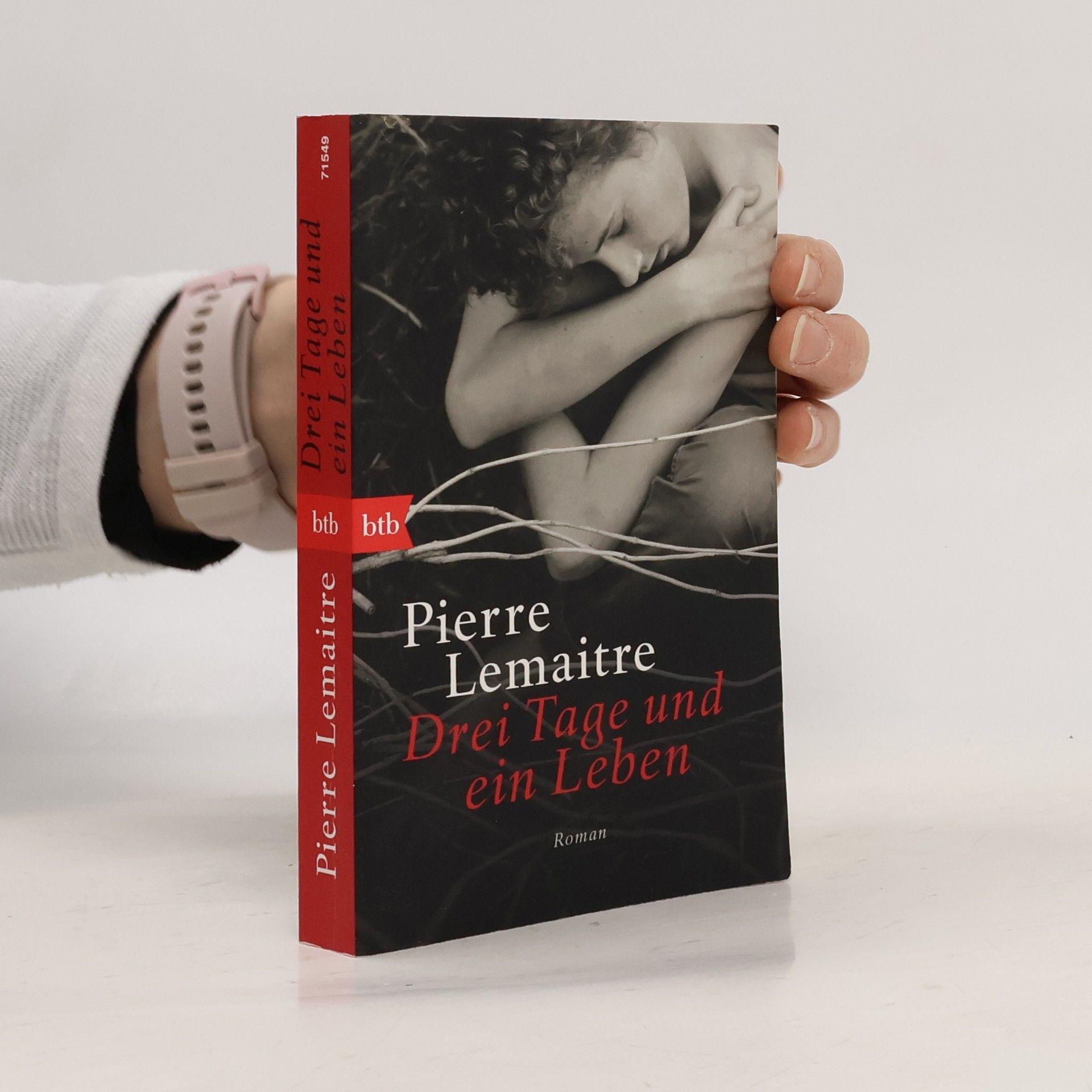 Pierre Lemaitre Drei Tage und ein Leben