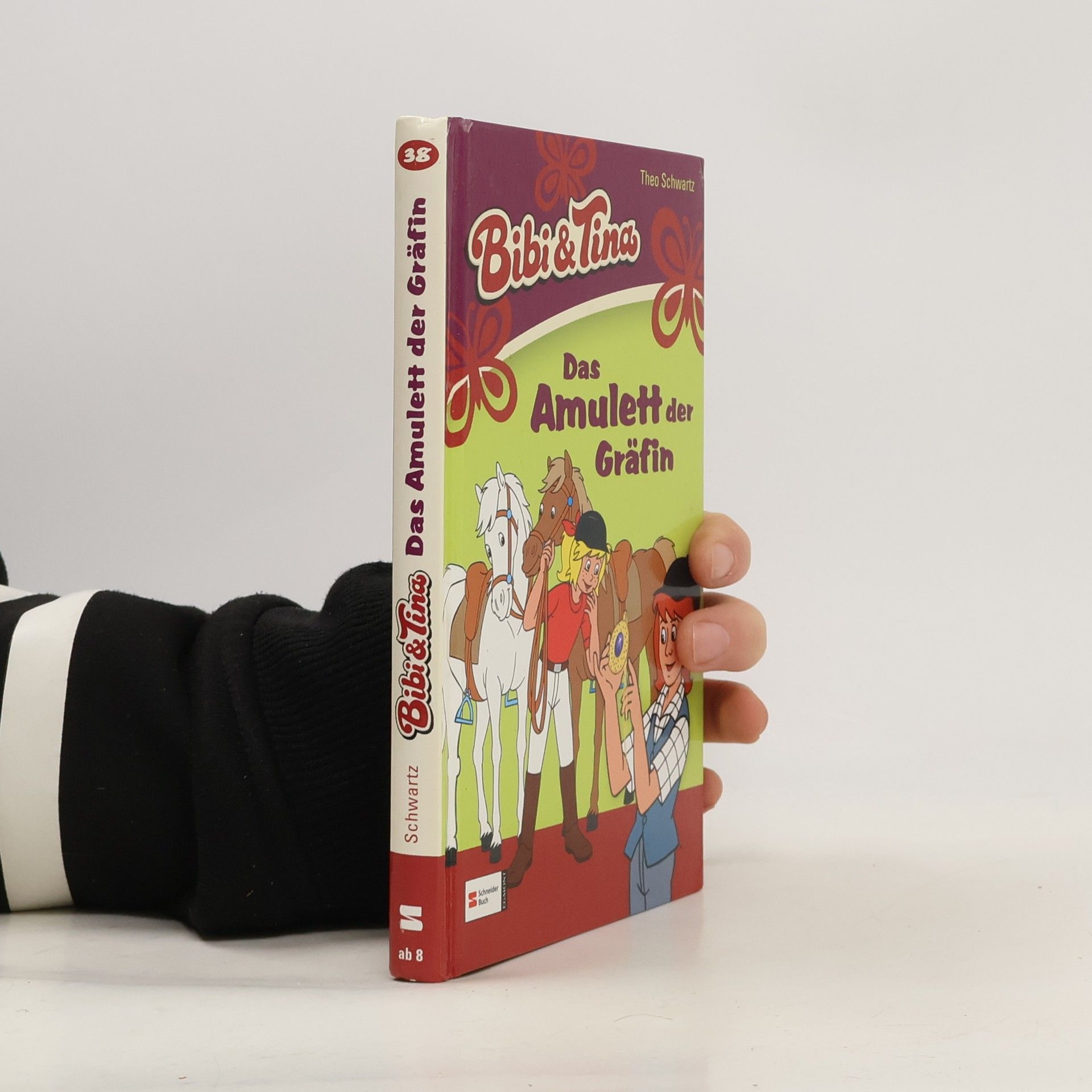 Theo Schwartz Bibi & Tina, Band 38