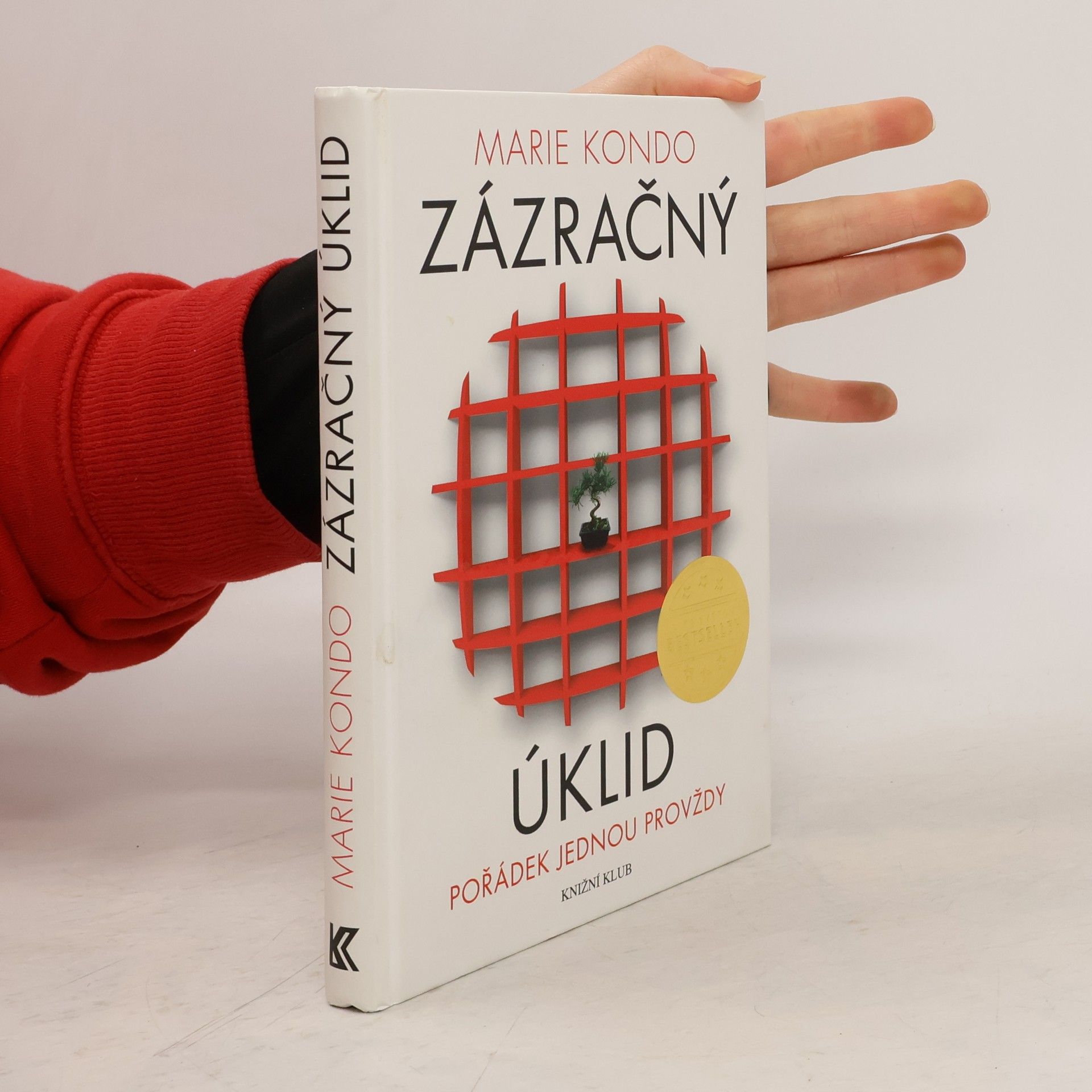 Marie Kondō Zázračný úklid