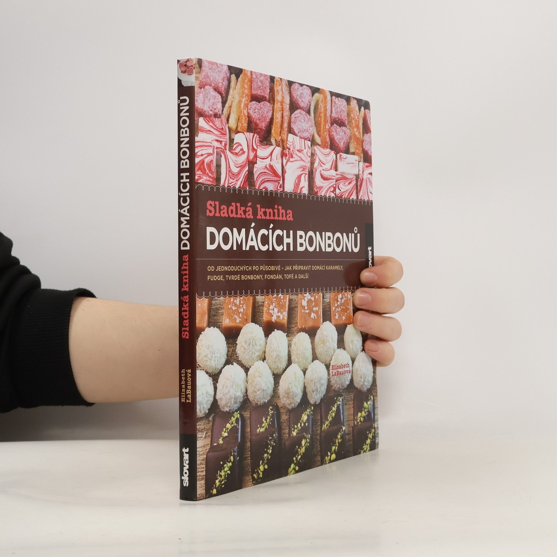 Elizabeth LaBau Sladká kniha domácích bonbonů