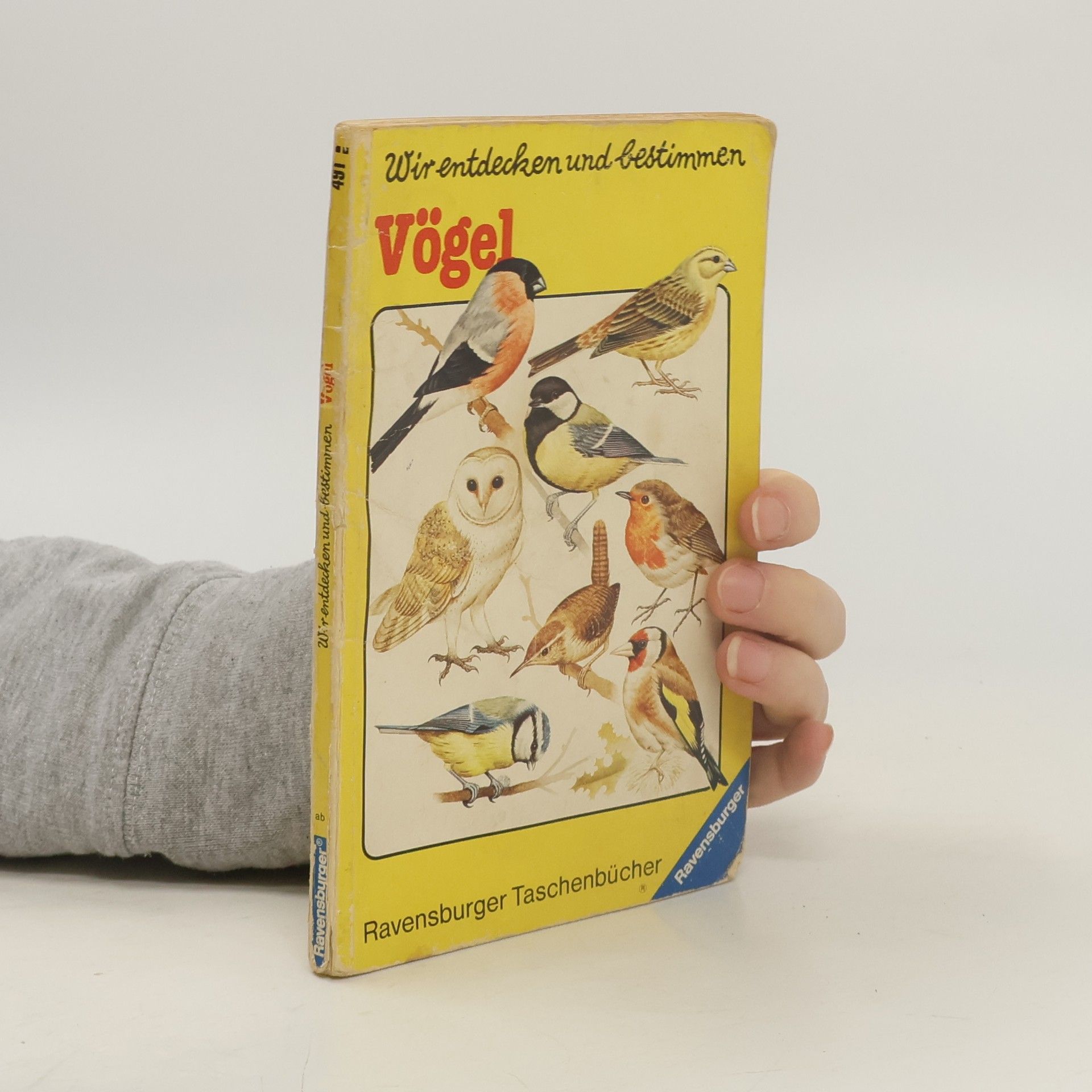 Collectif d'auteurs Wir entdecken und bestimmen - Vögel