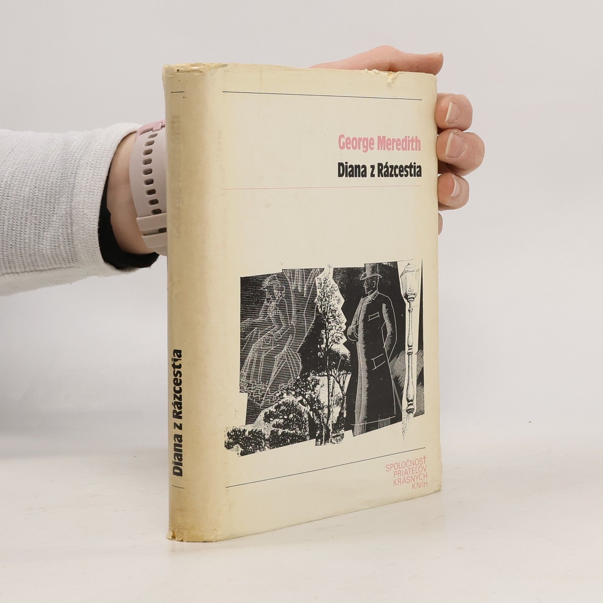 George MEREDITH Diana z Rázcestia