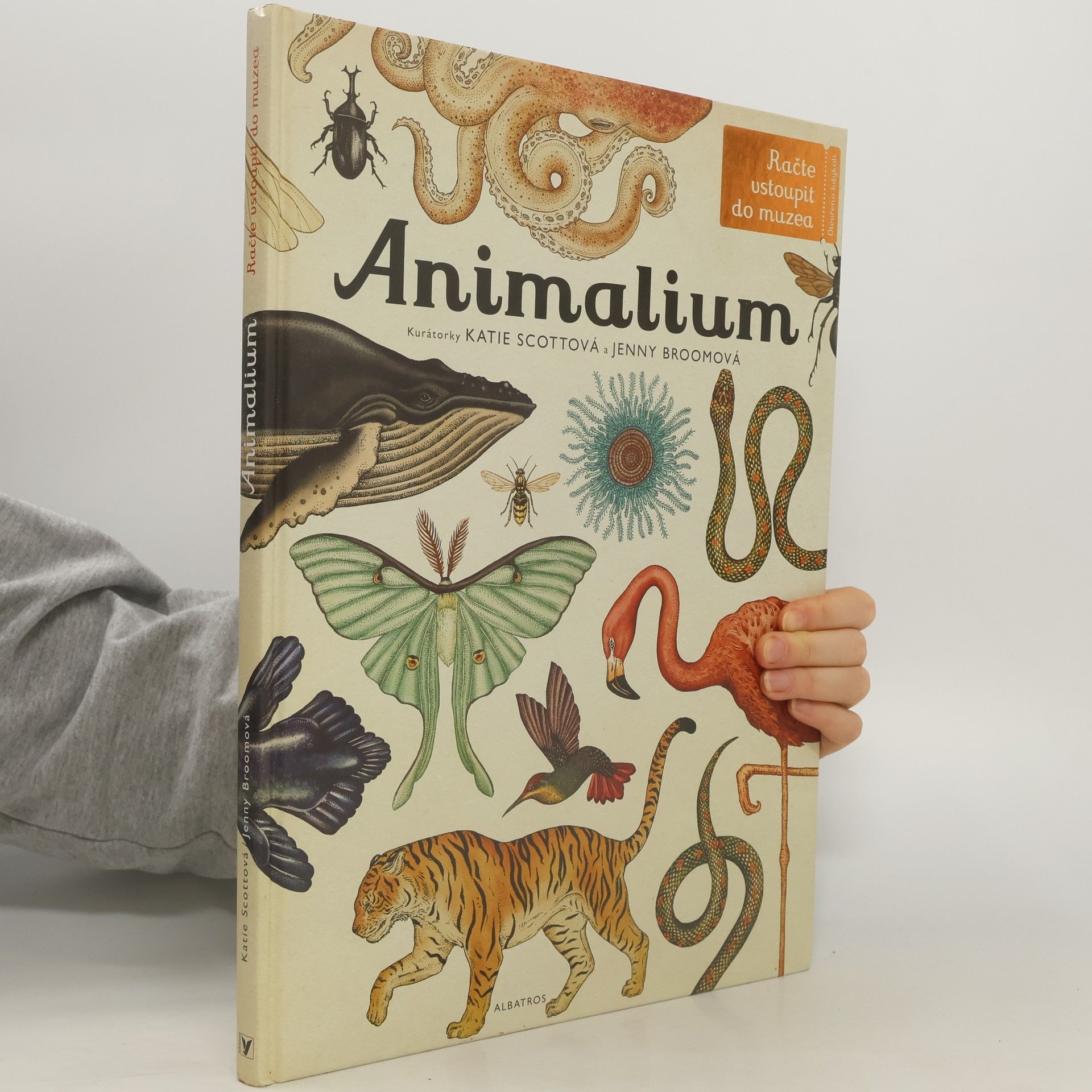 Animalium