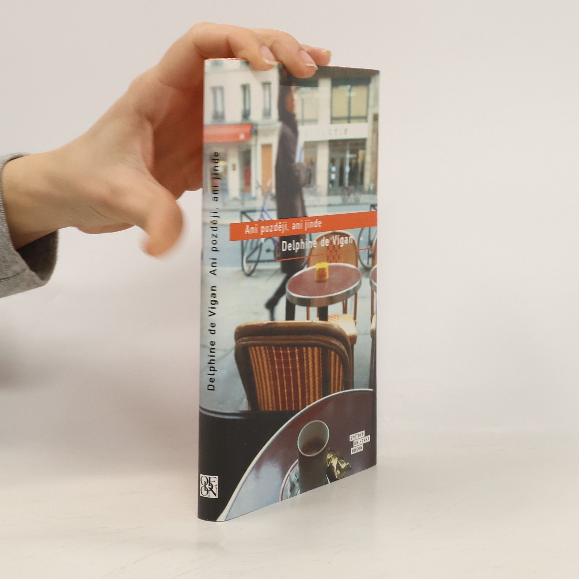 Delphine de Vigan Ani později, ani jinde