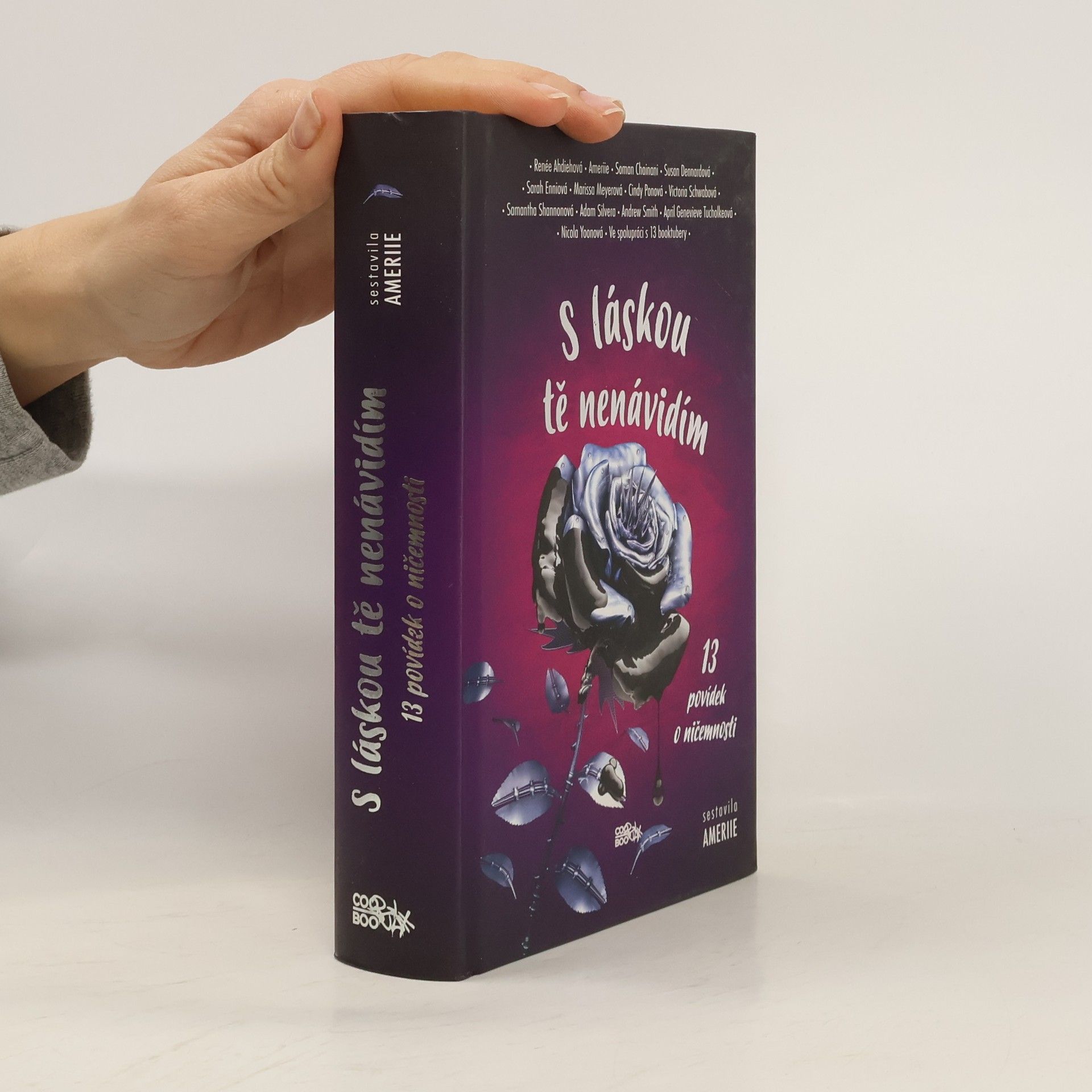 S láskou tě nenávidím