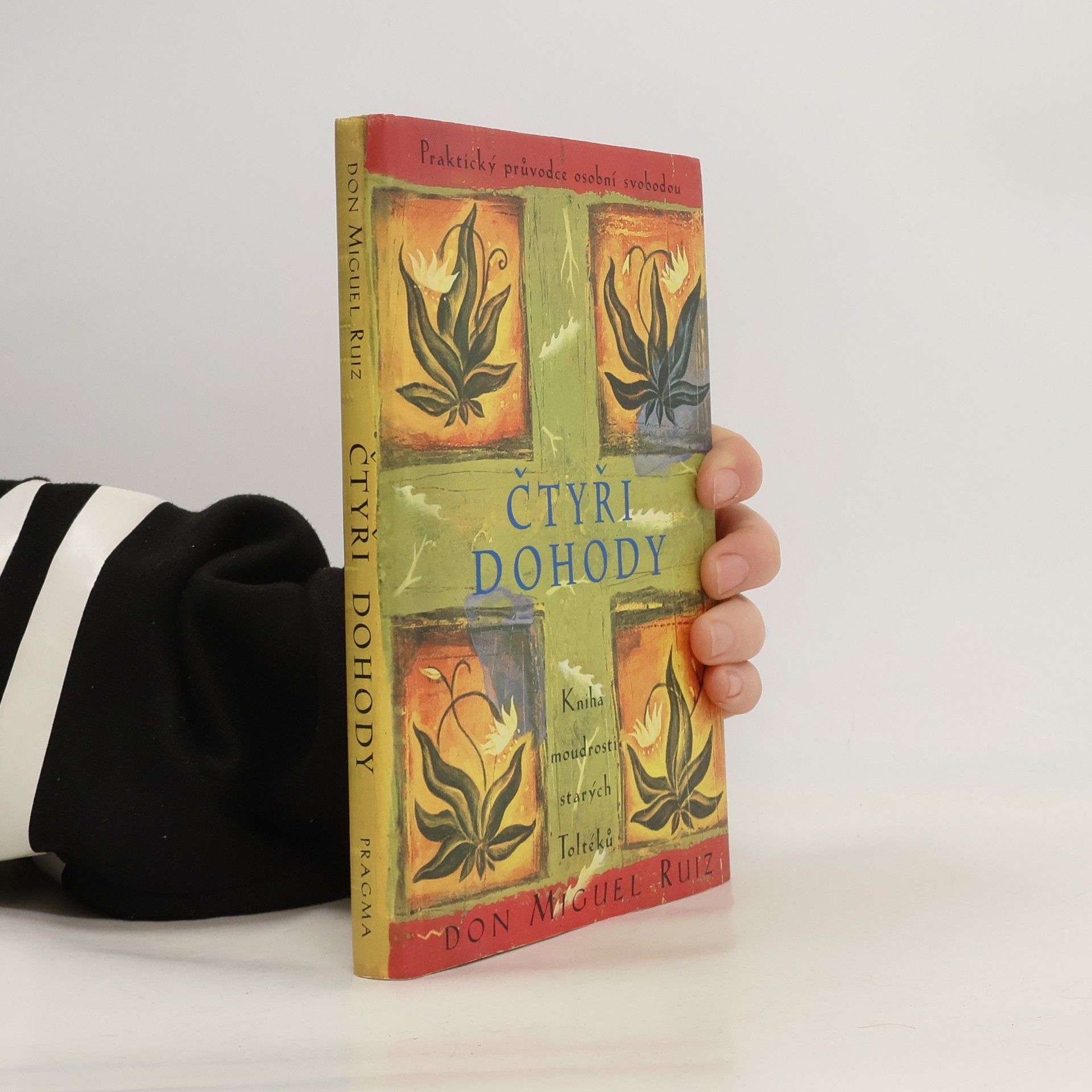 Don Miguel Ruiz Čtyři dohody