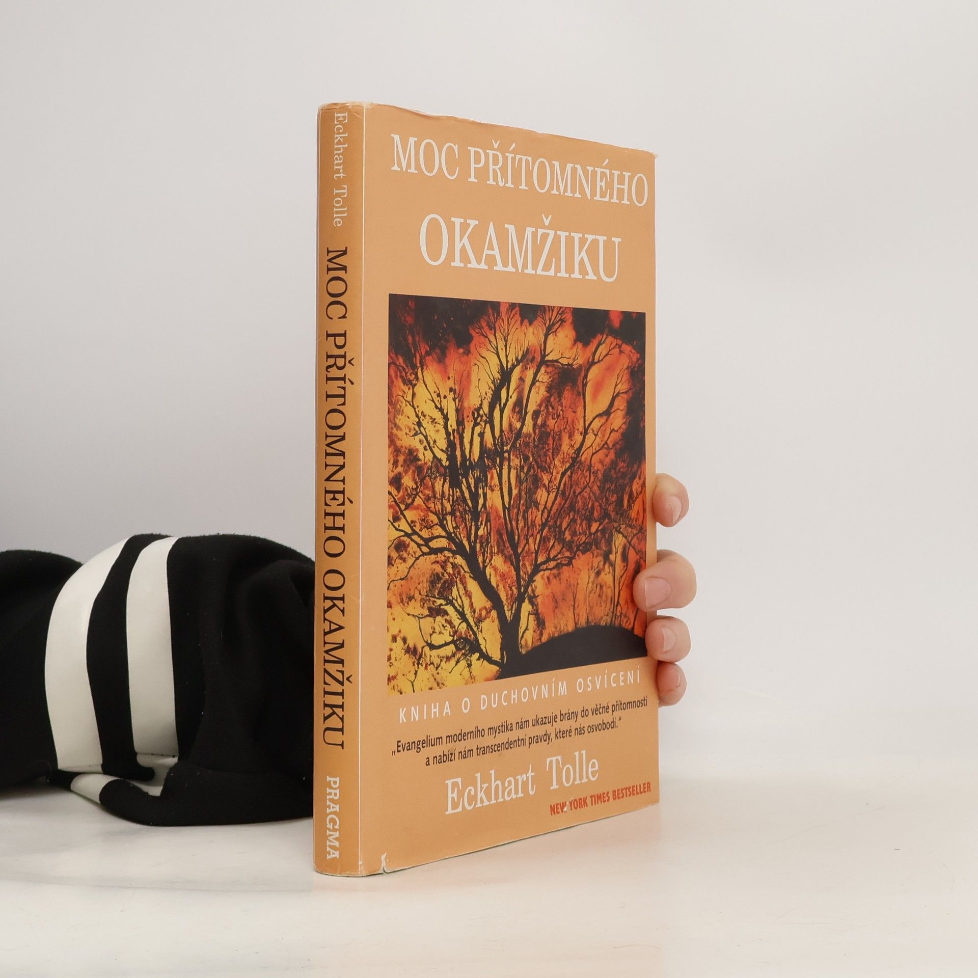 Moc přítomného okamžiku