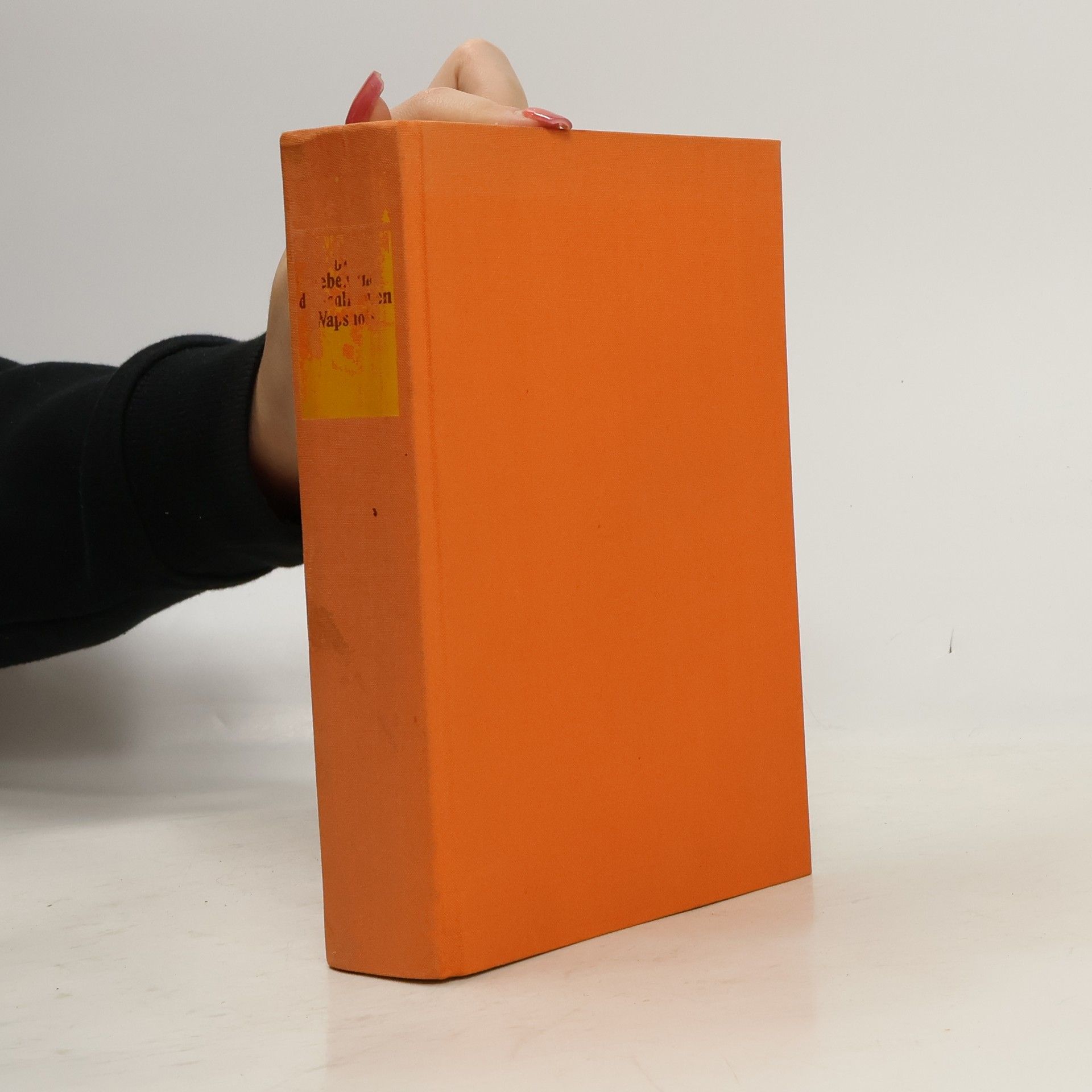 John Cheever Die lieben und die schlimmen Wapshots