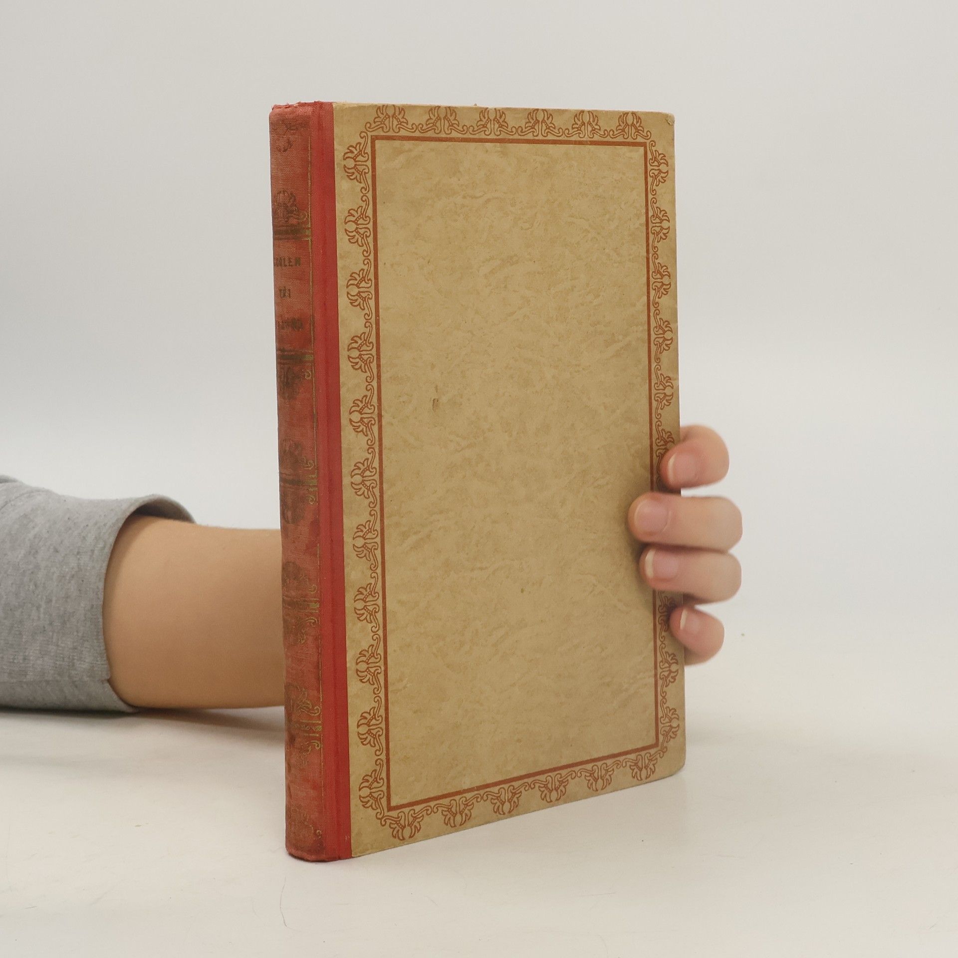 Antoon Coolen Tři bratři