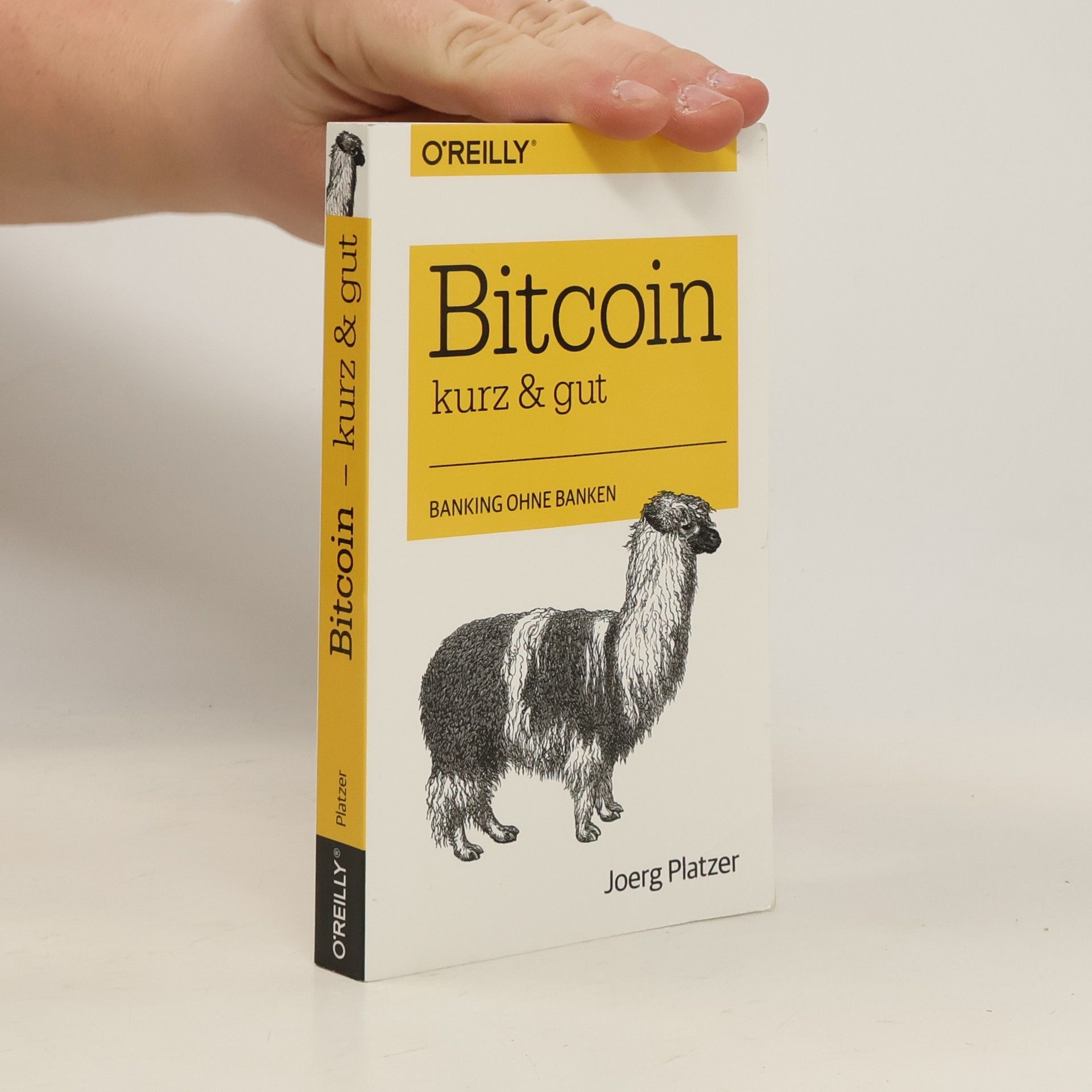 Joerg Platzer Bitcoin – kurz & gut