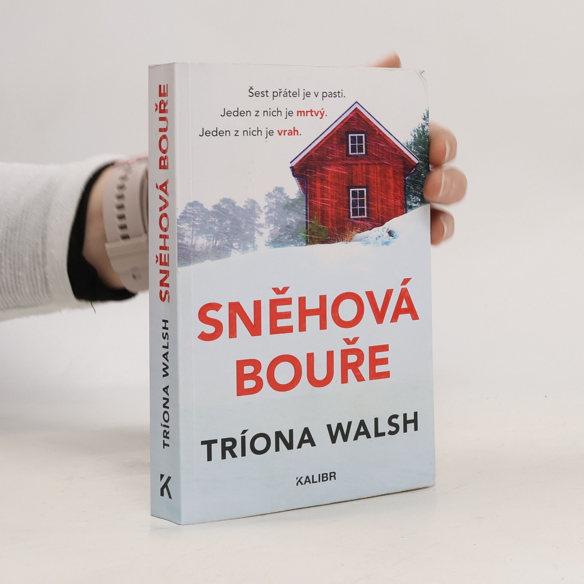 Tríona Walsh Sněhová bouře